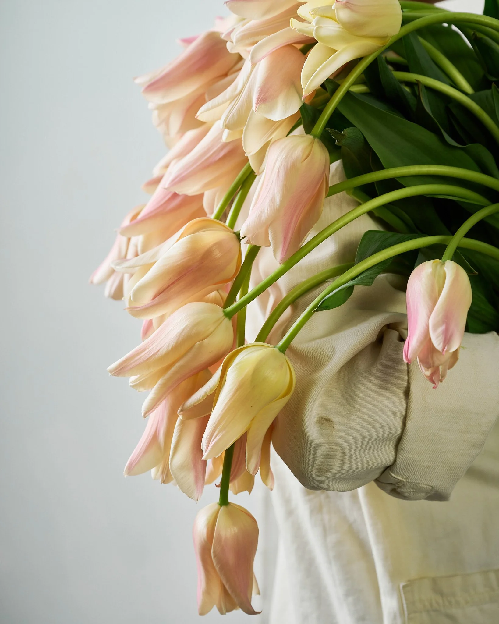 FFF_04.244685 sanne.JPG