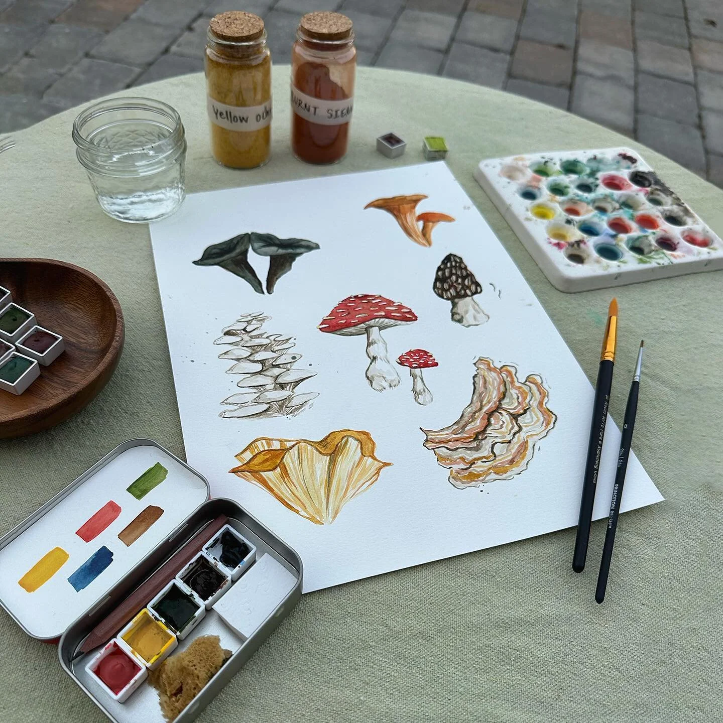 🎨🍄 WATERCOLOR WORKSHOP ANNOUNCEMENT! 🍄🎨 Sunday, March 3rd from 1 to 3:30 I am teaching a mushroom watercolor workshop at @casinomineranch in Amador County. This is not your basic paint + sip! Yes, there will be wine and we will be painting but th