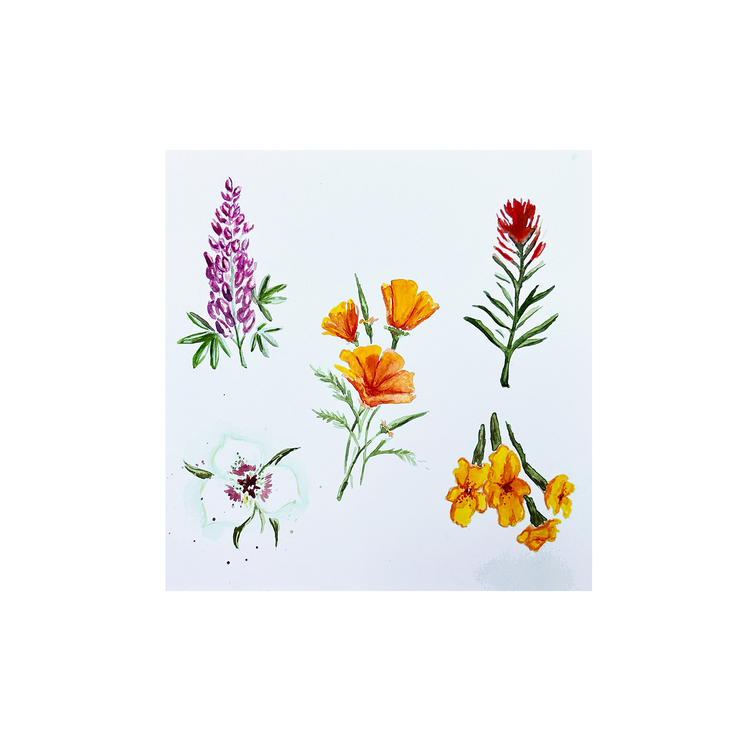 Wildflower Art Shop Image.png