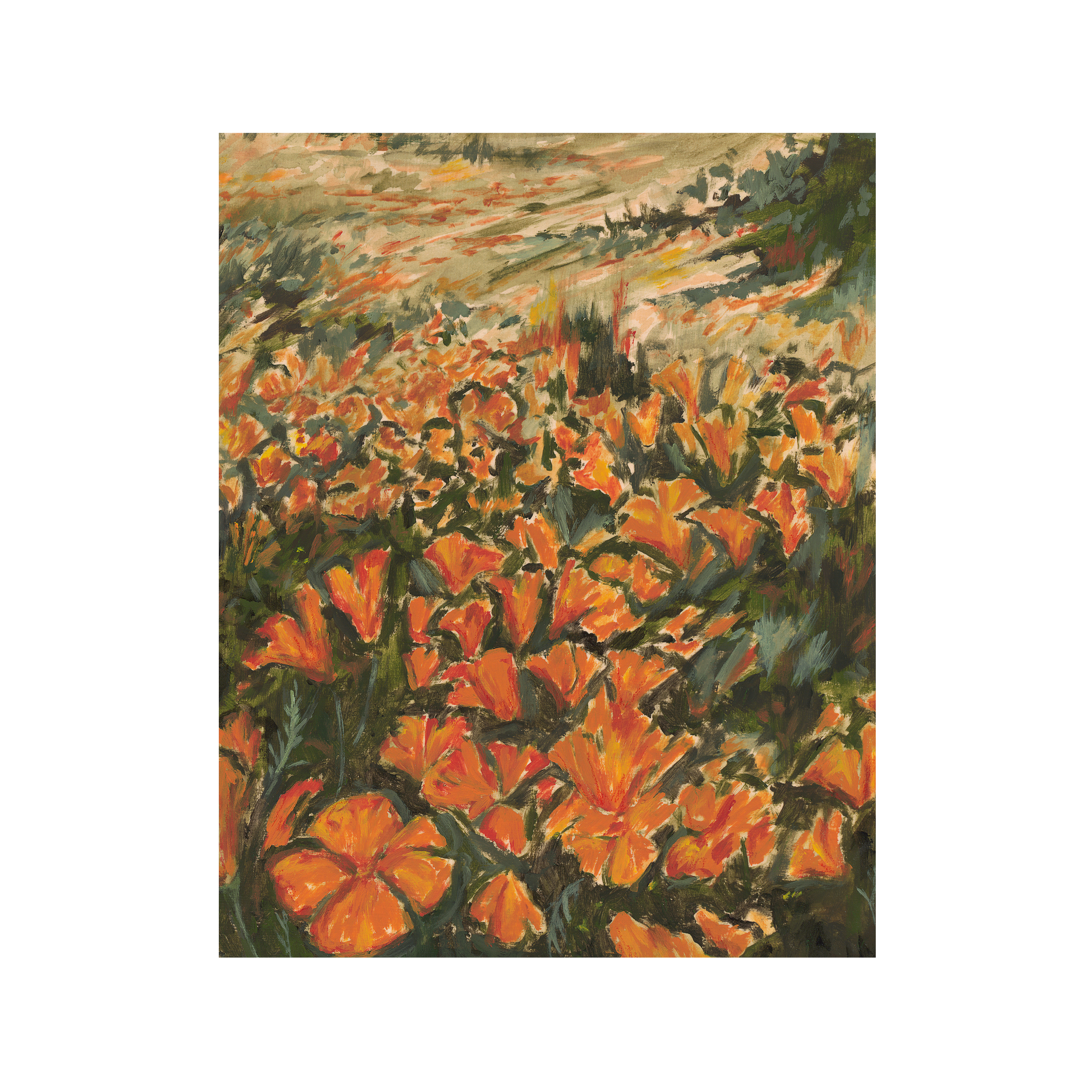 Orange Sundream Crop 1.png