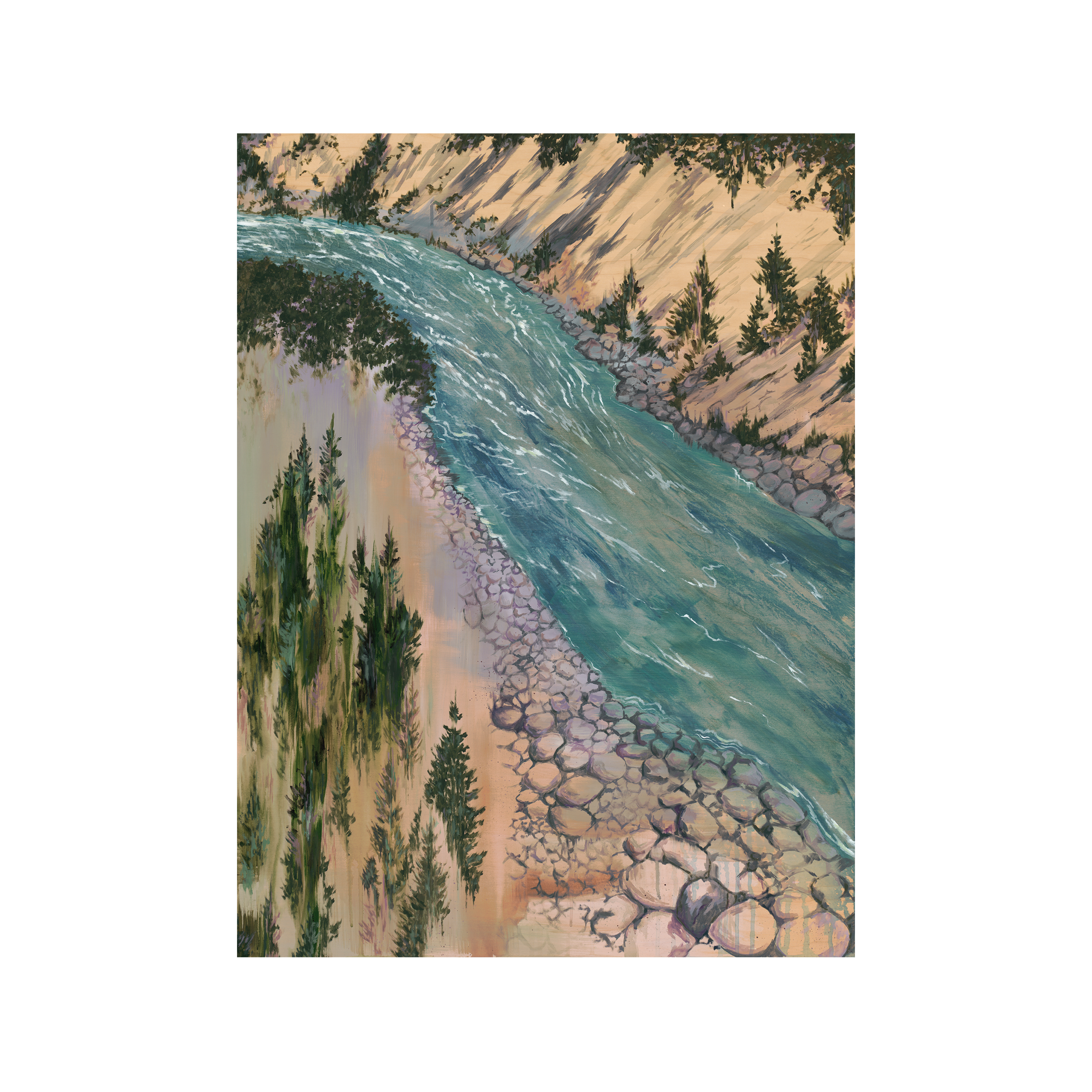 Salmons Freedom Flow Scan.png