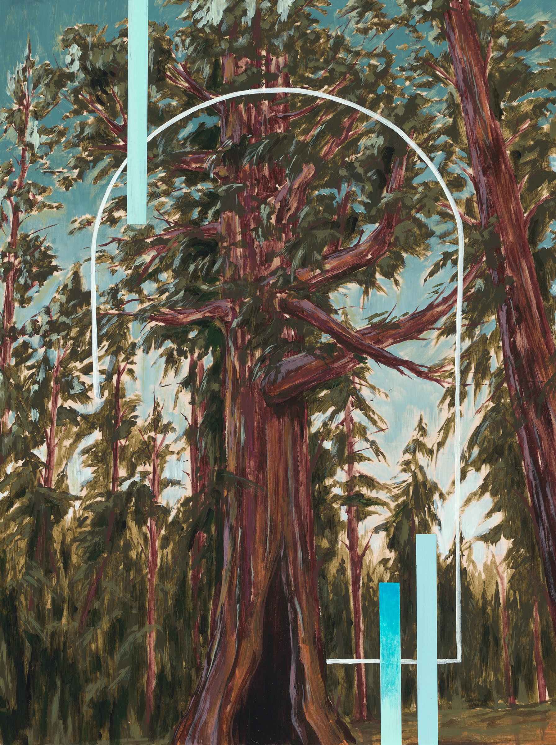 Sequoiadendron-giganteum-Museum.jpg
