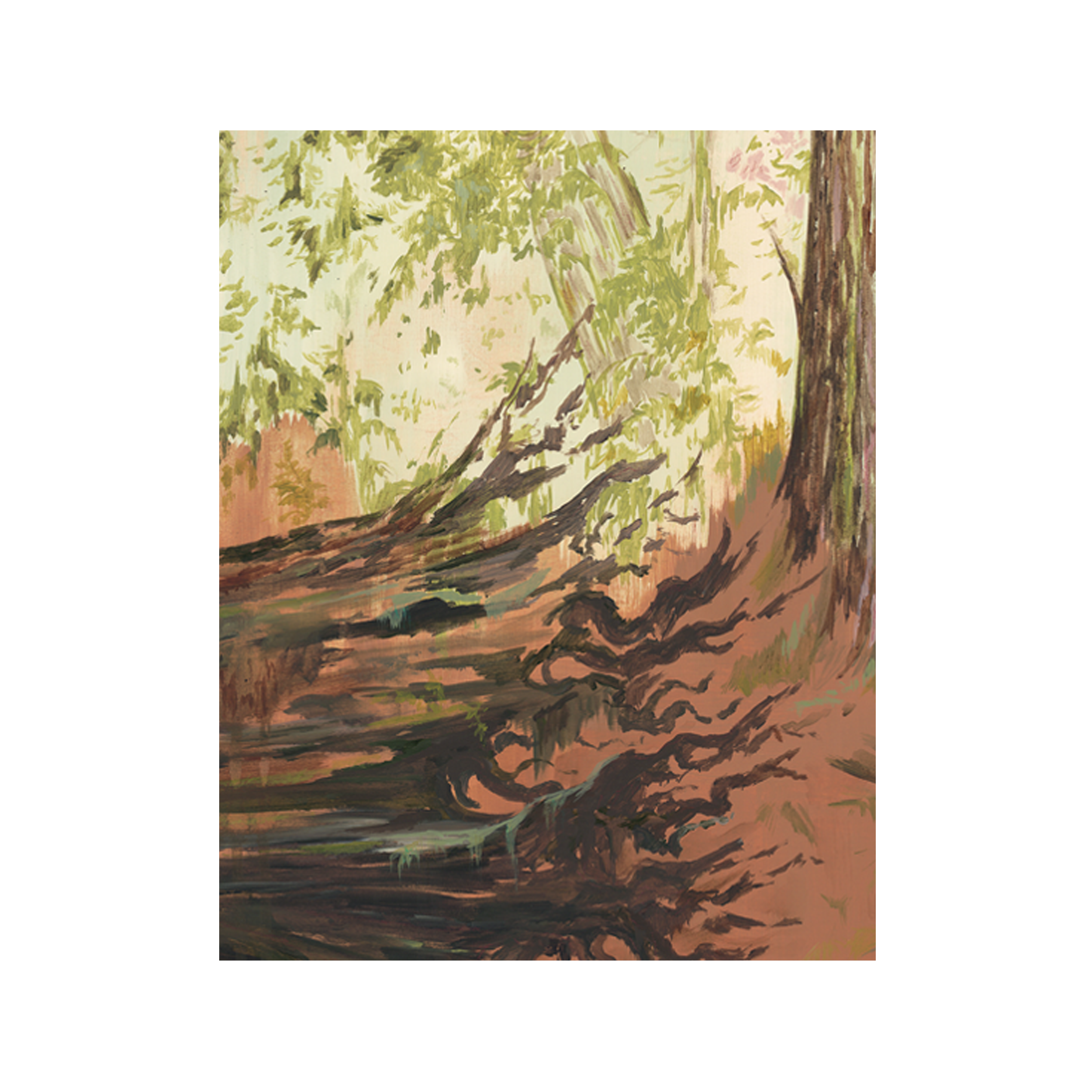 Among Ferns Crop 2.png
