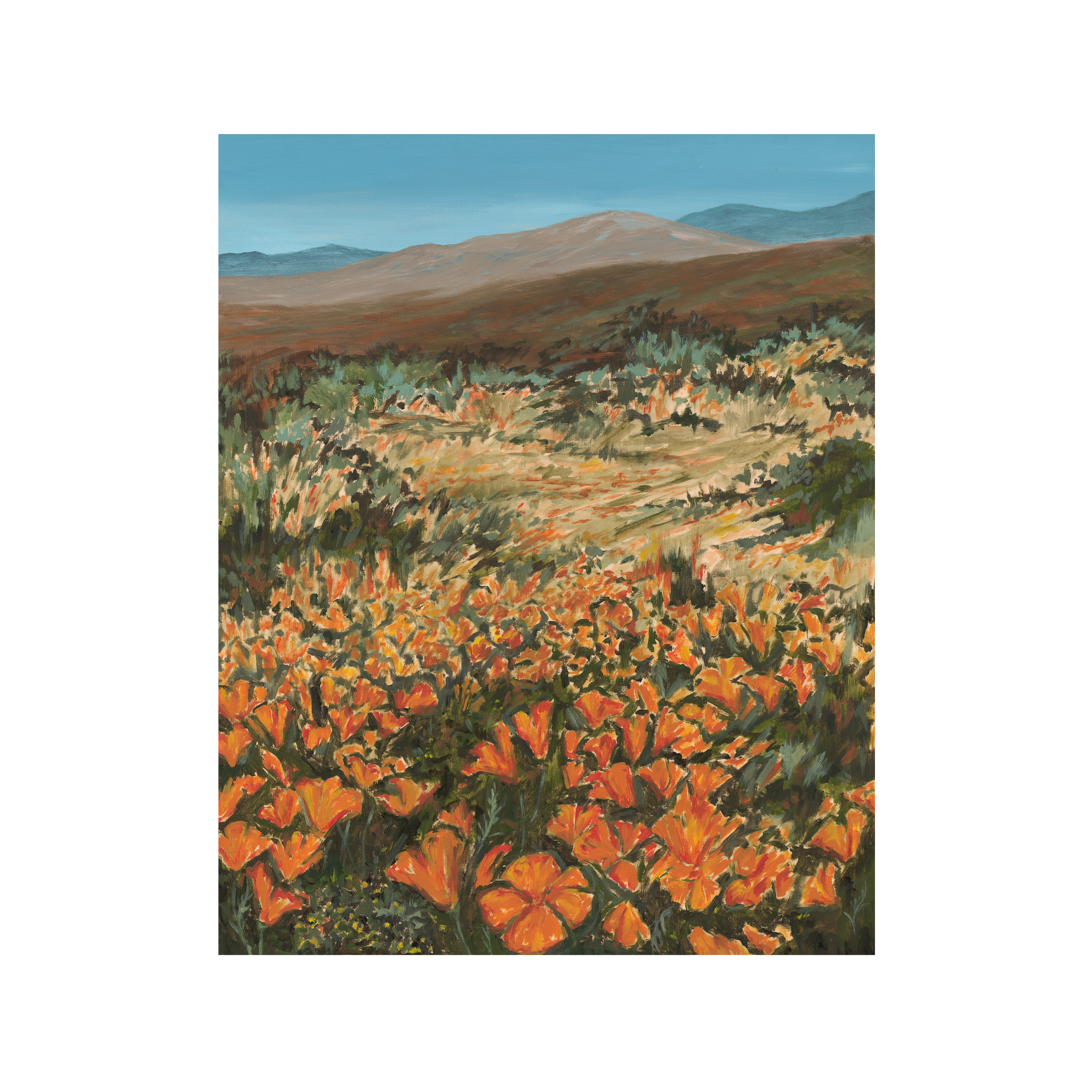 Orange Sundream Scan.png