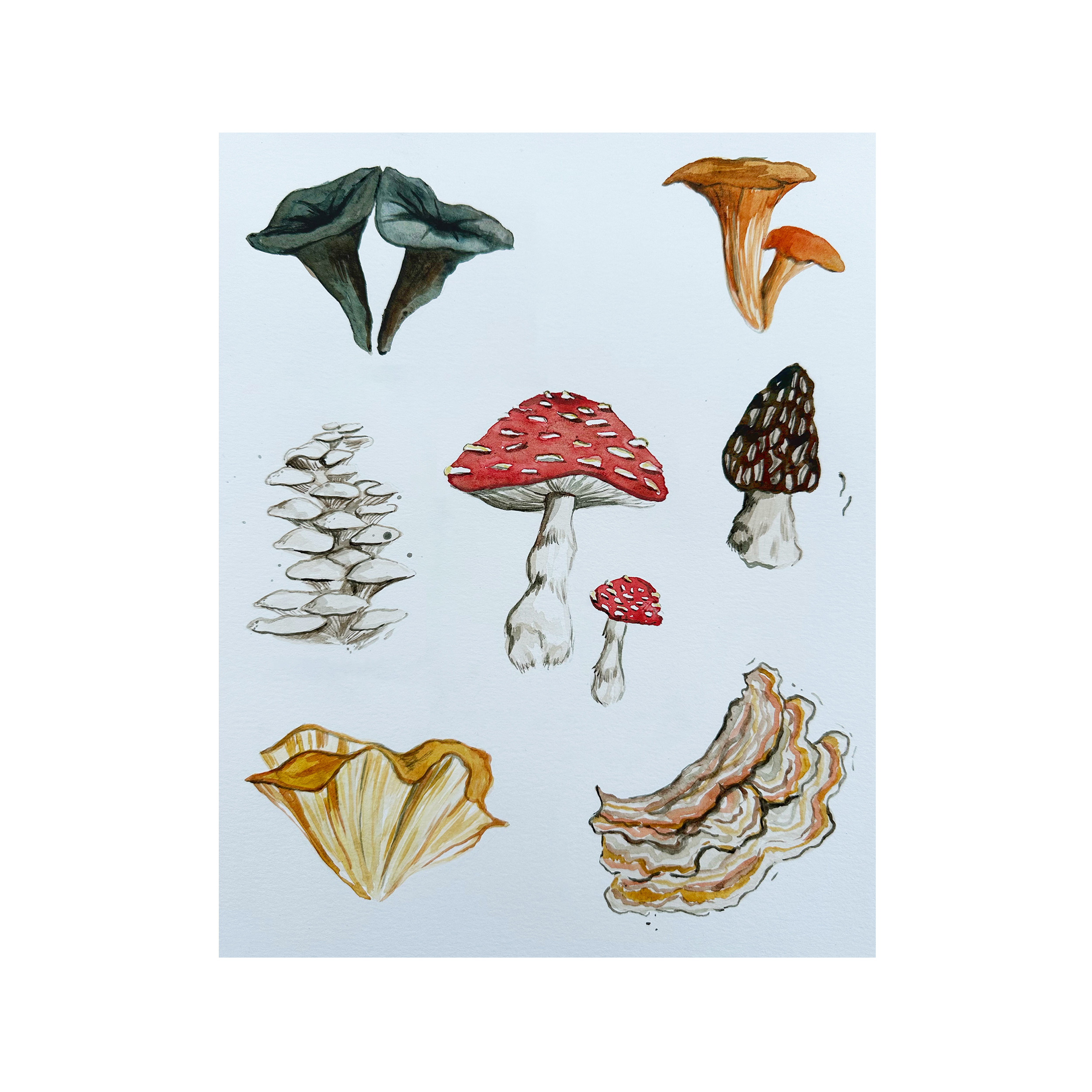 Mushroom Workshop Webshop Image.png