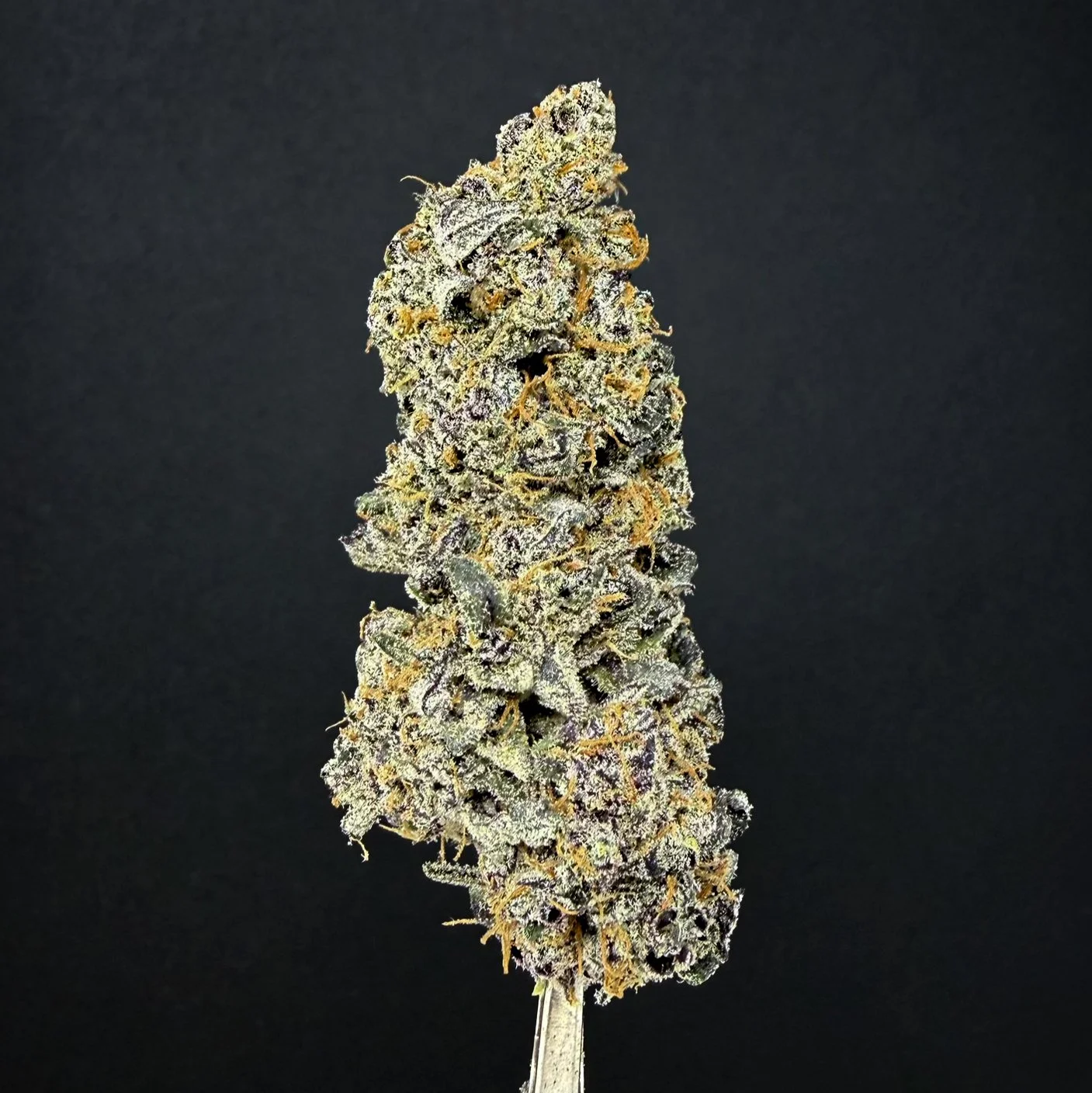 Close-up image of a cannabis bud covered in trichomes on a black background.