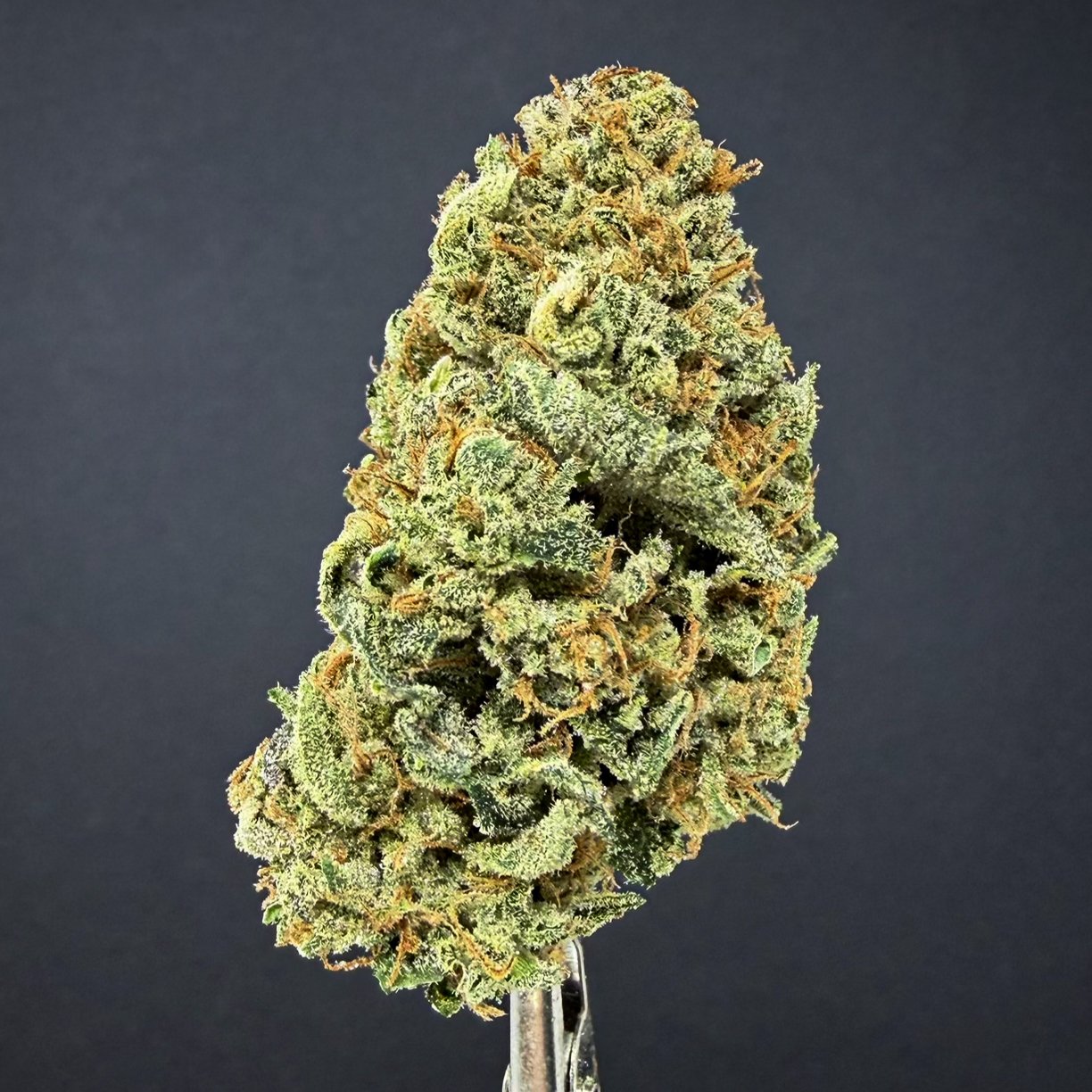 Close-up of a cannabis bud with green and orange hues covered in trichomes, against a dark background.