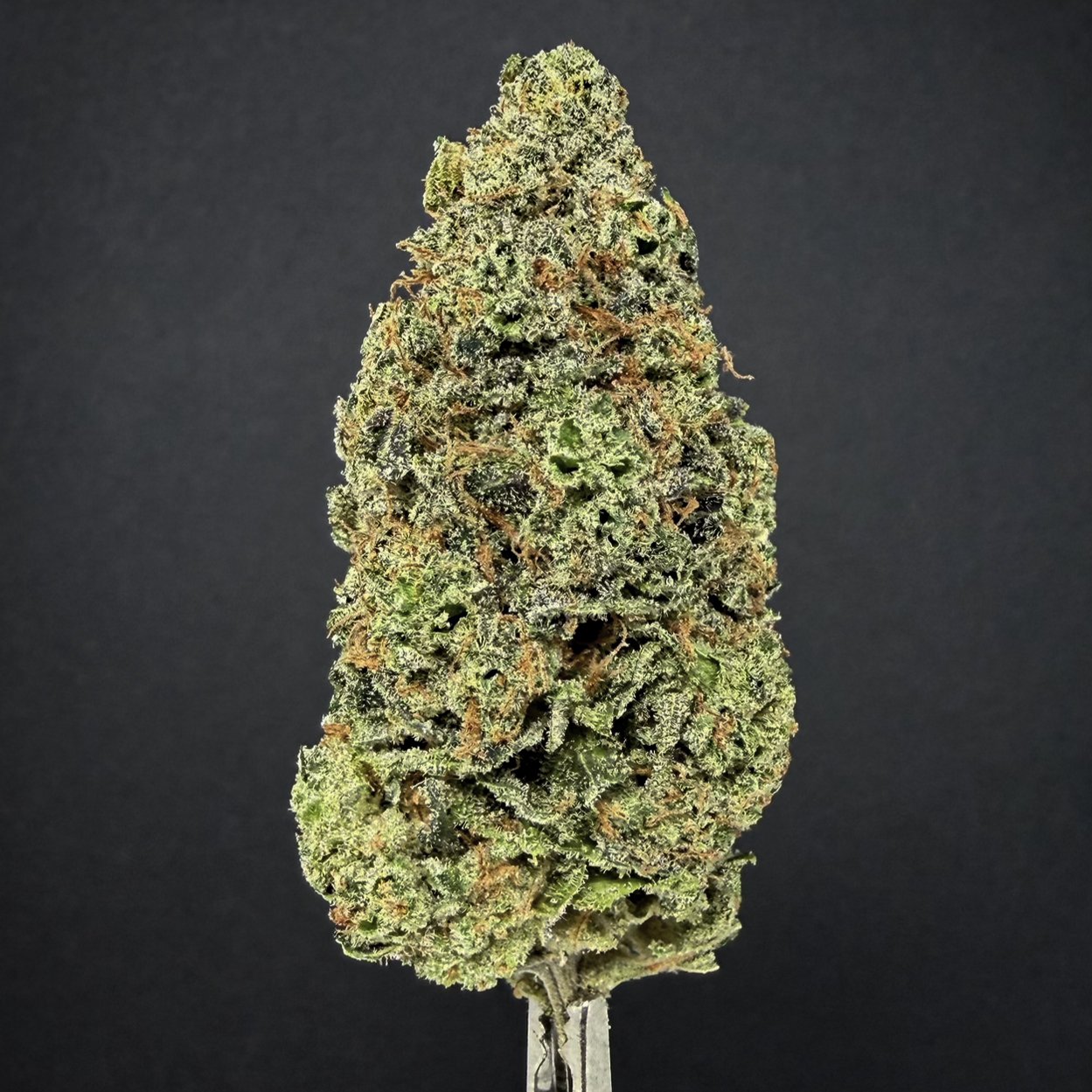 Close-up of a cannabis bud on a black background.