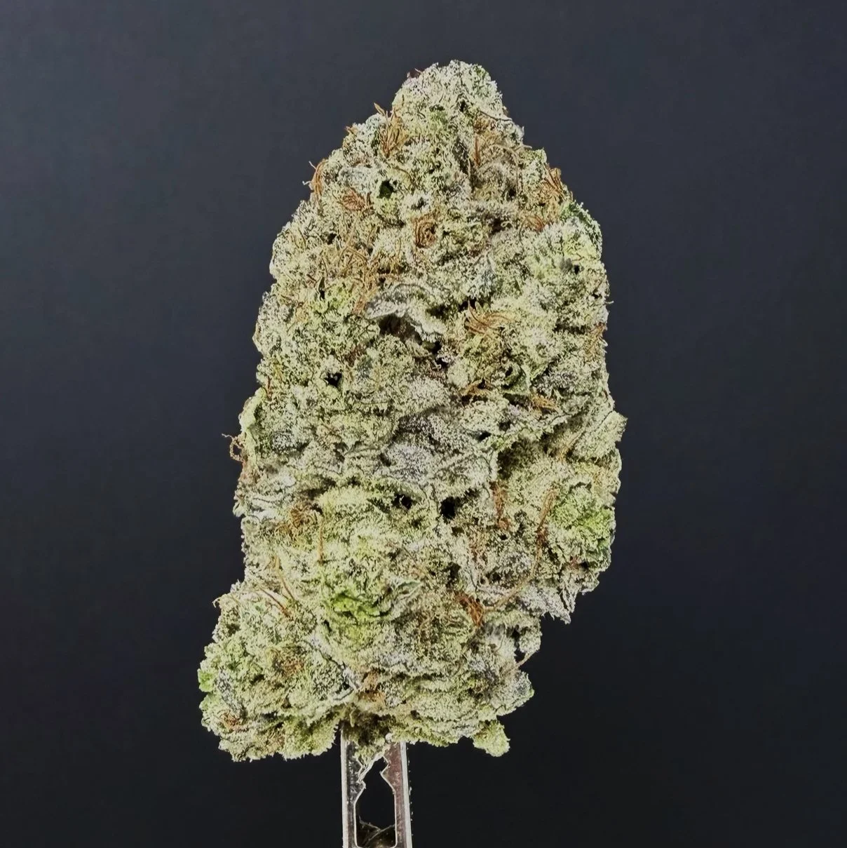 Close-up of a cannabis flower bud against a black background.