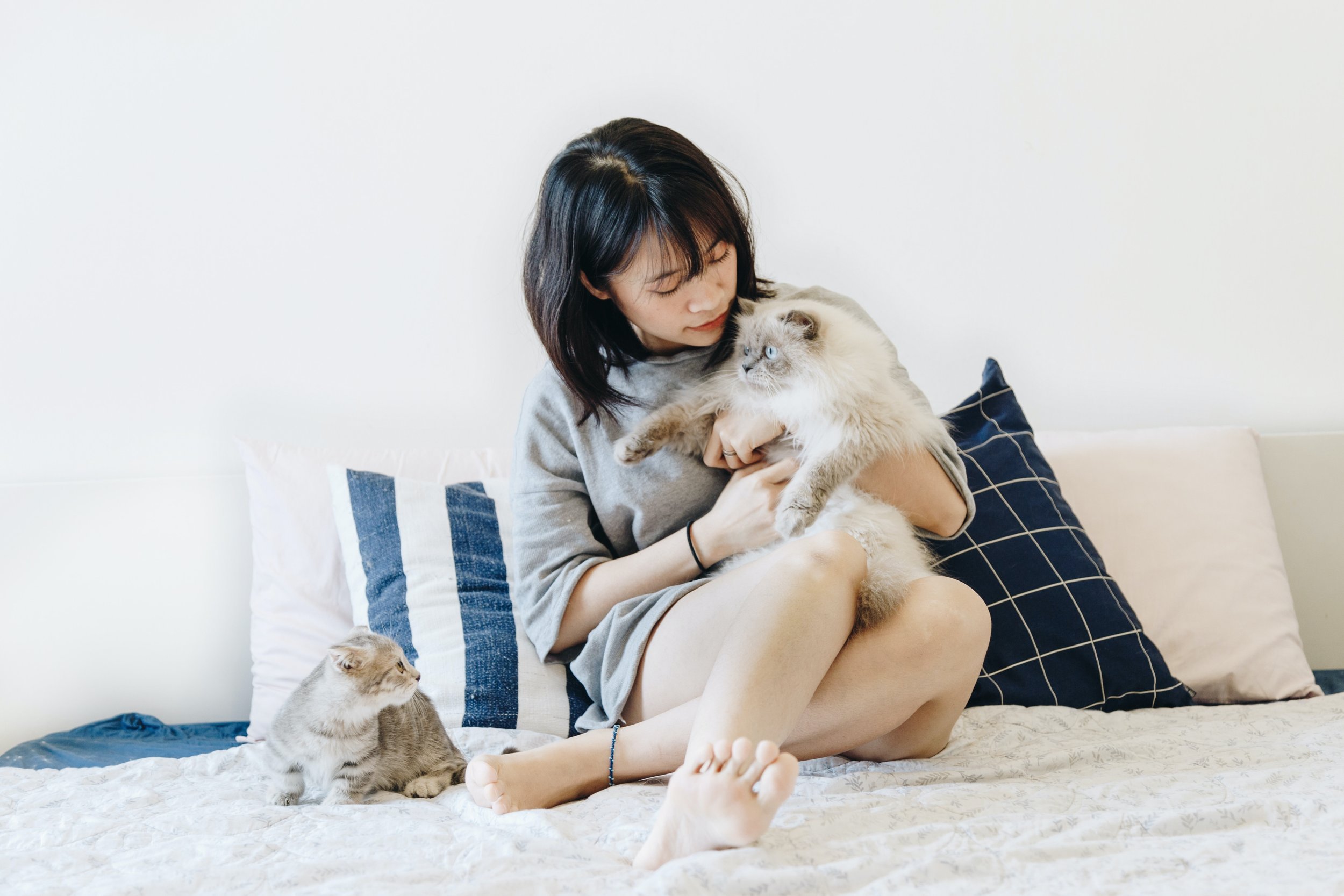 tran-mau-tri-tam-pfRES3CjcUM-unsplash.jpg