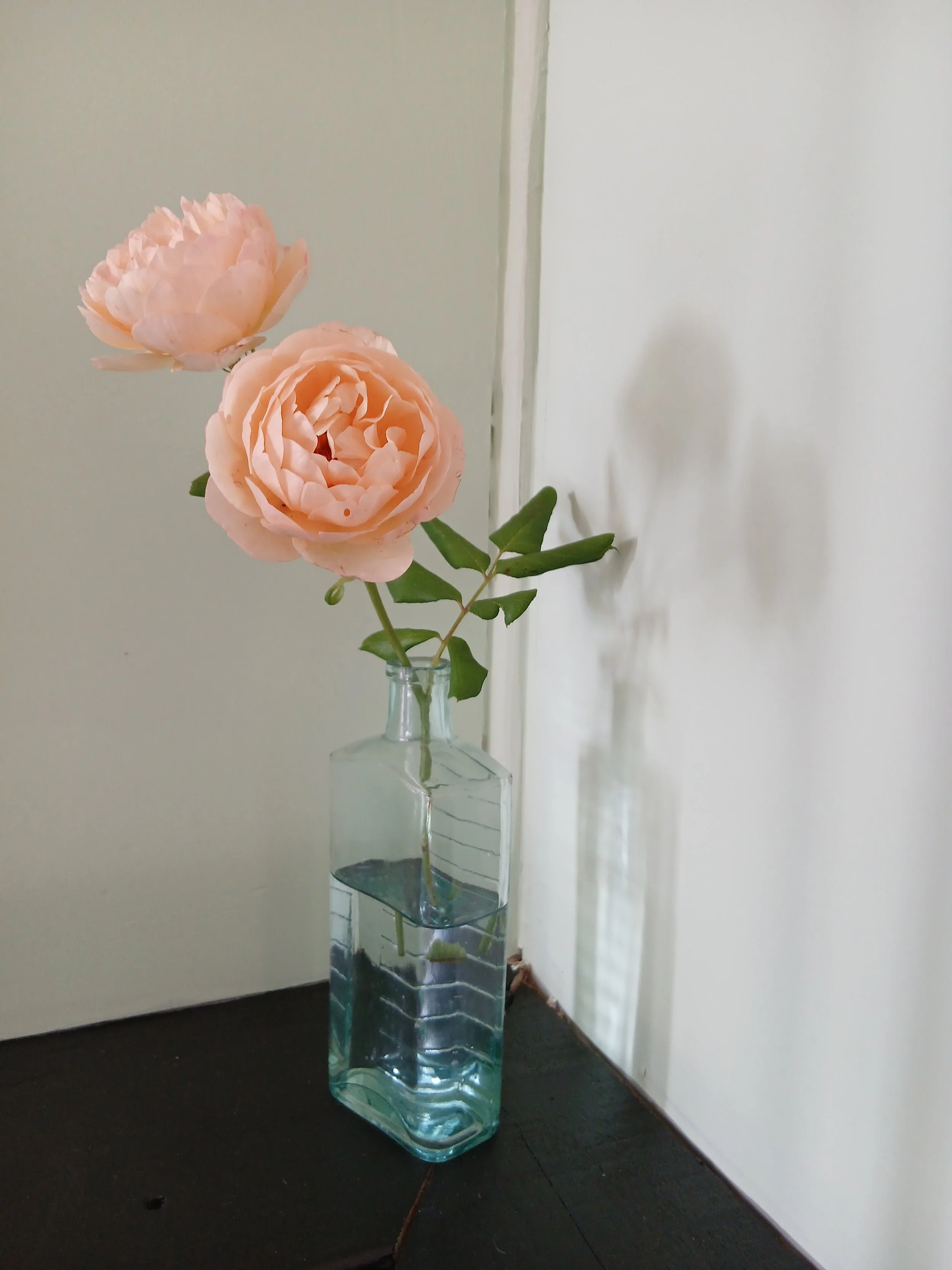 Two peach roses in a clear glass vase on a dark surface, with plain light-colored wall background.