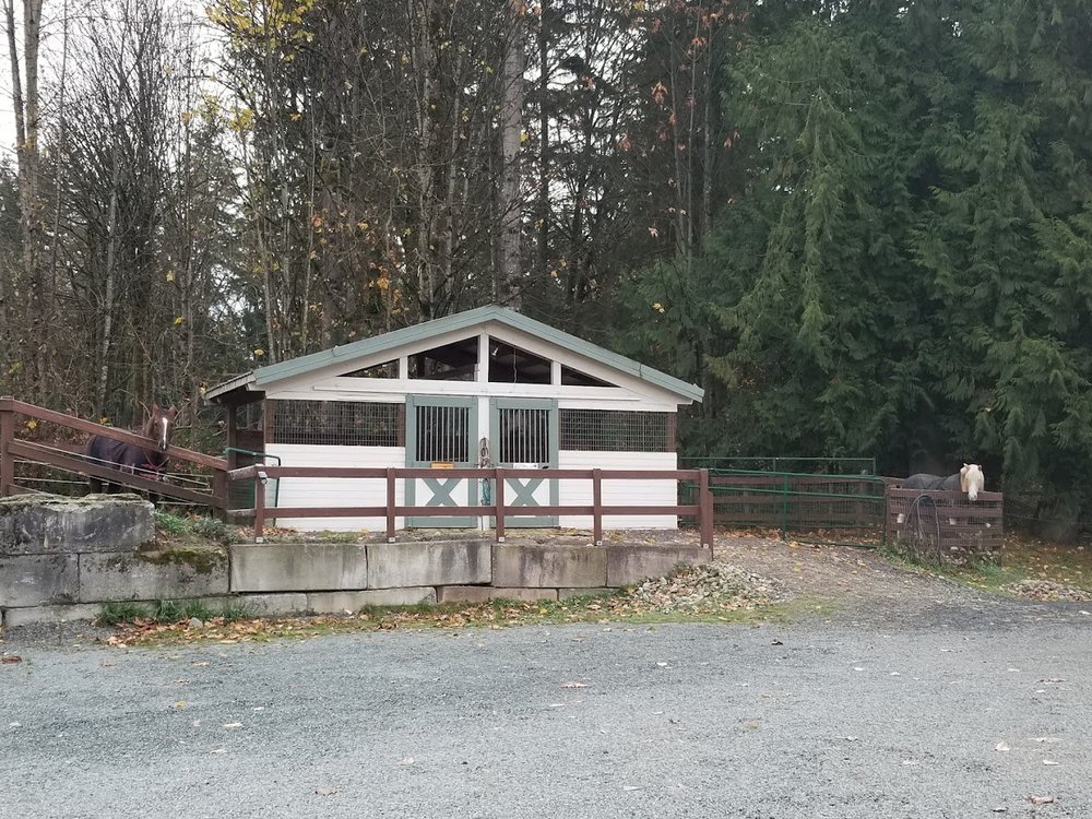 Services 1 — Silver Birch Farm