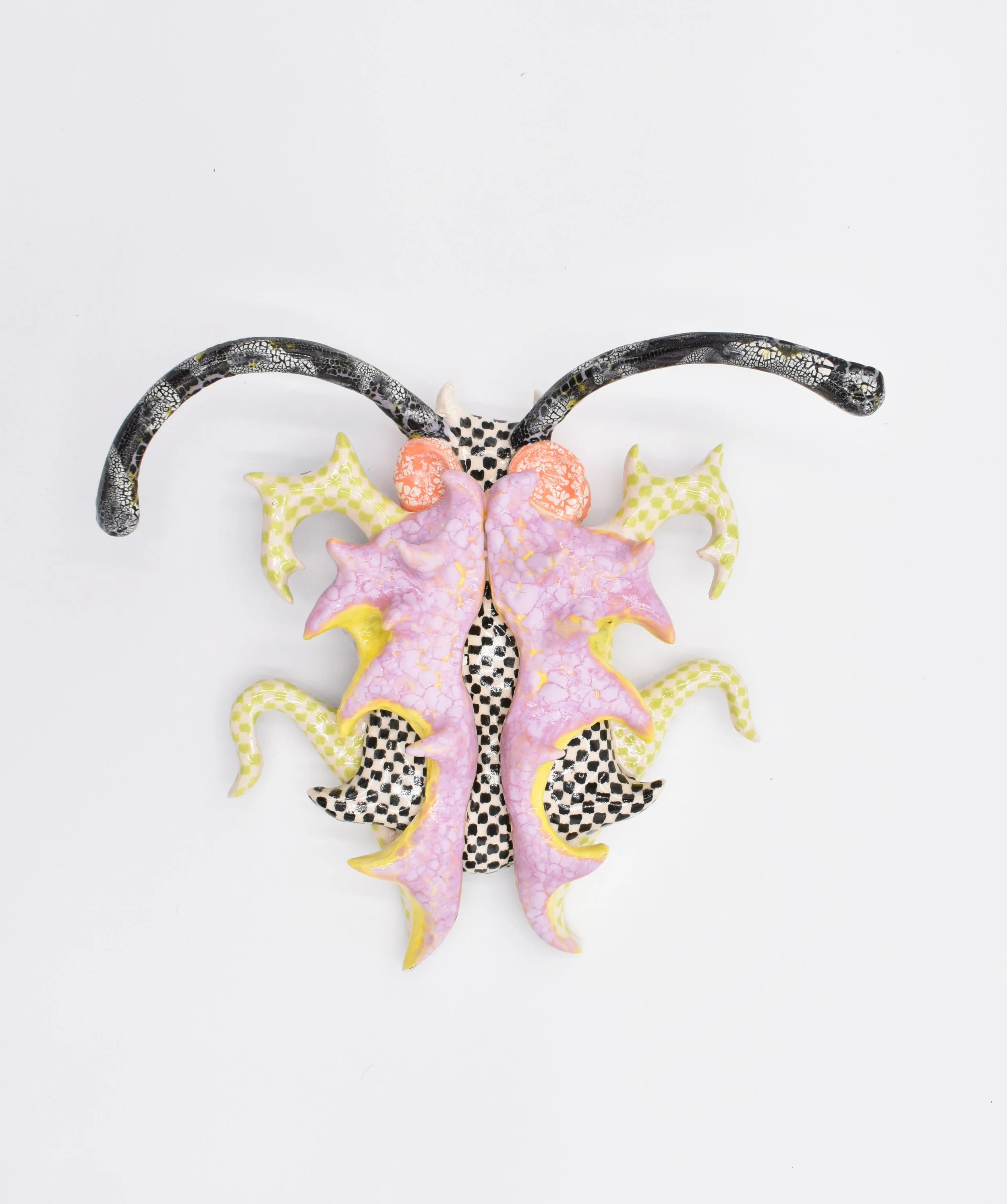 checker bug straight.jpg