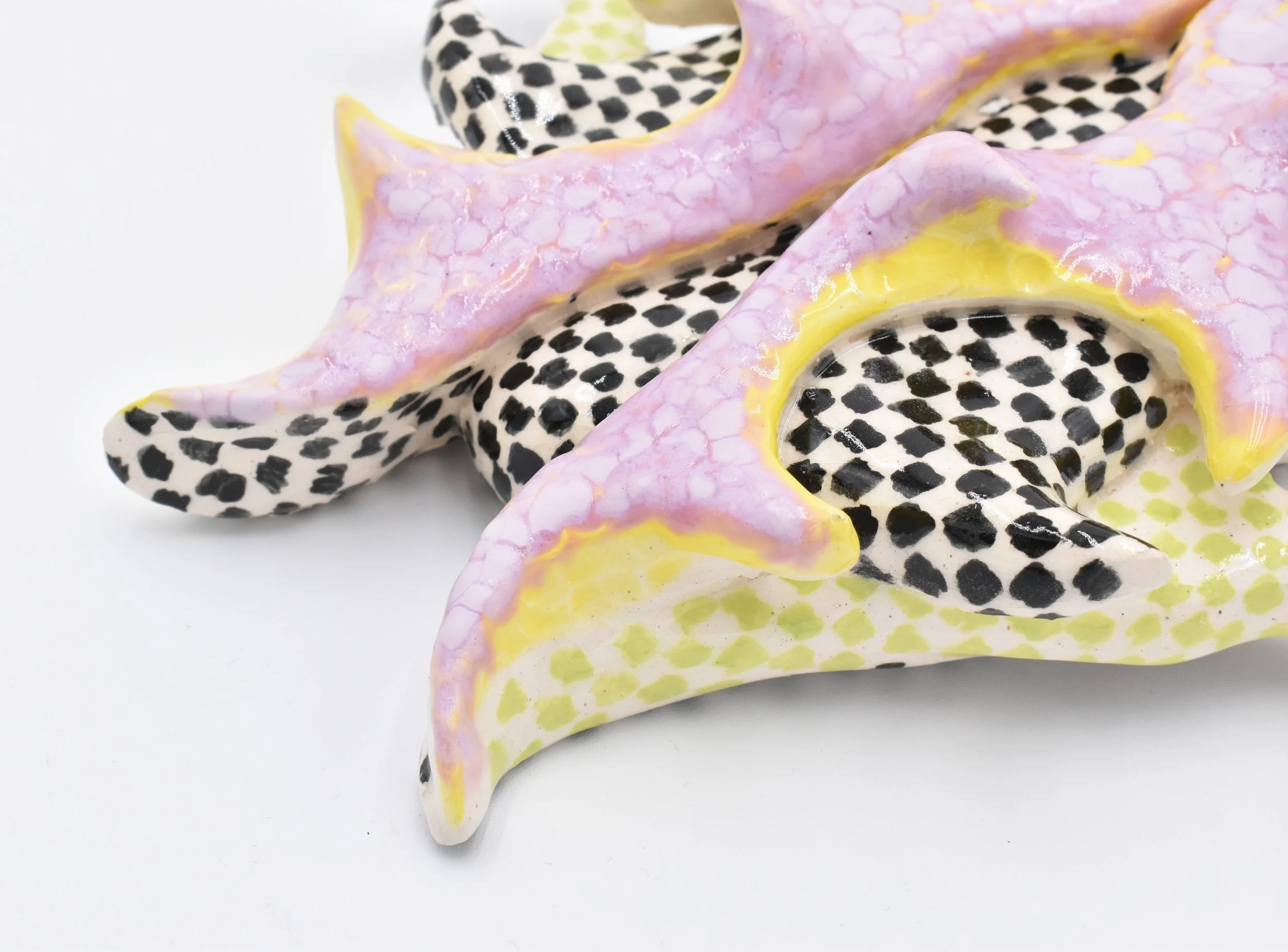 checker bug detail 2.jpg