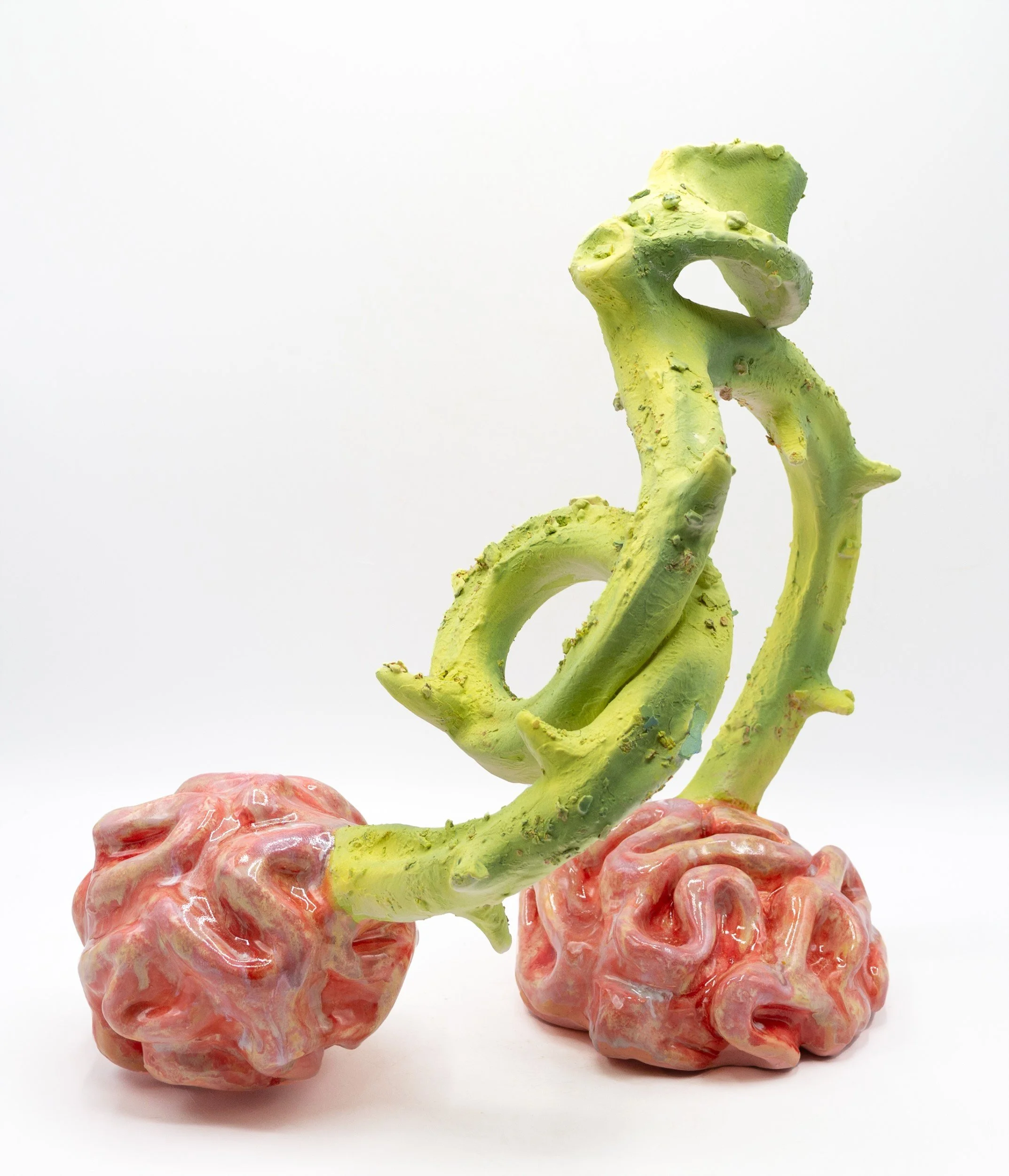 an accidentally phallic fruit.