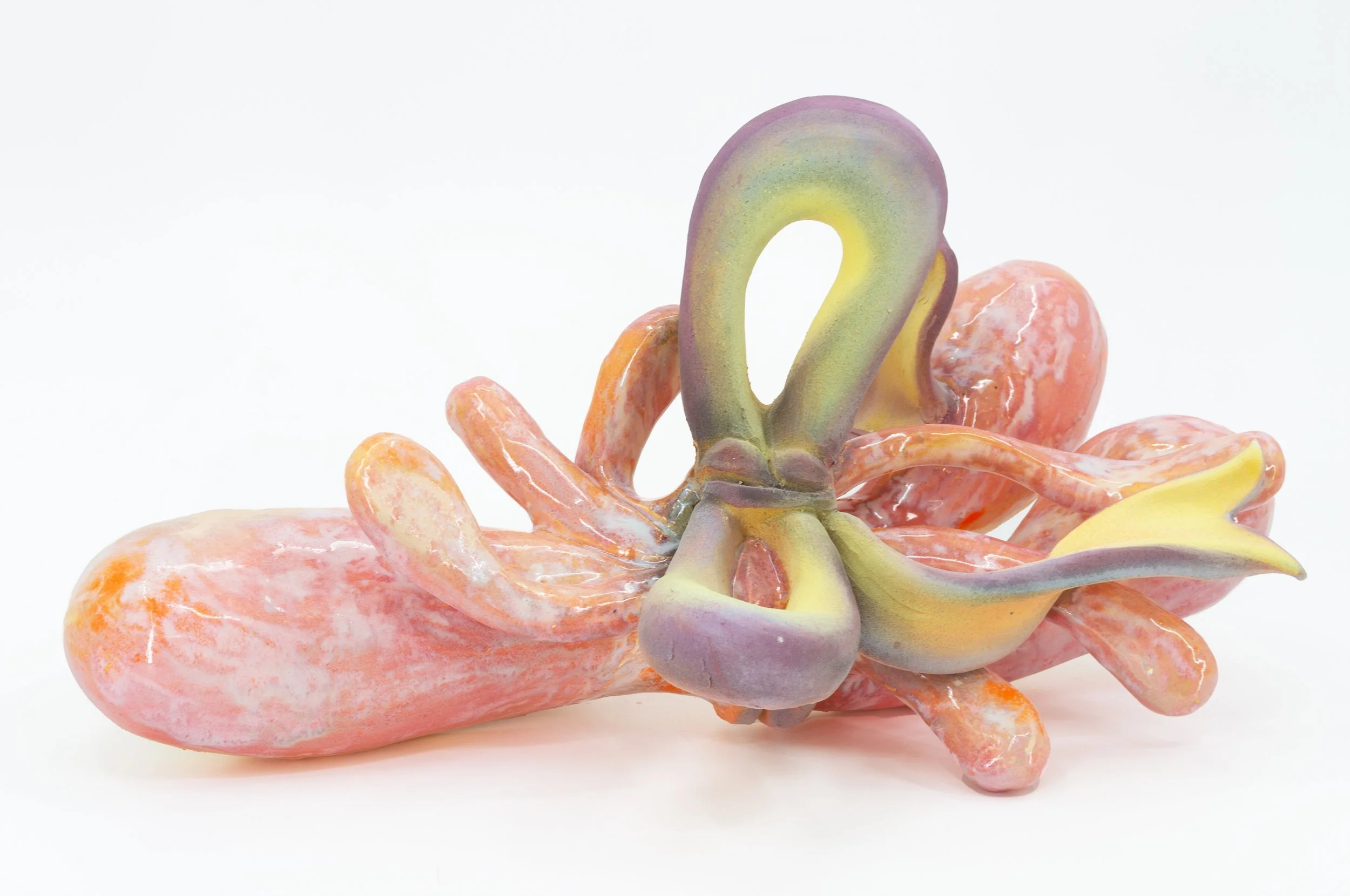 bouquet worm 1.jpg
