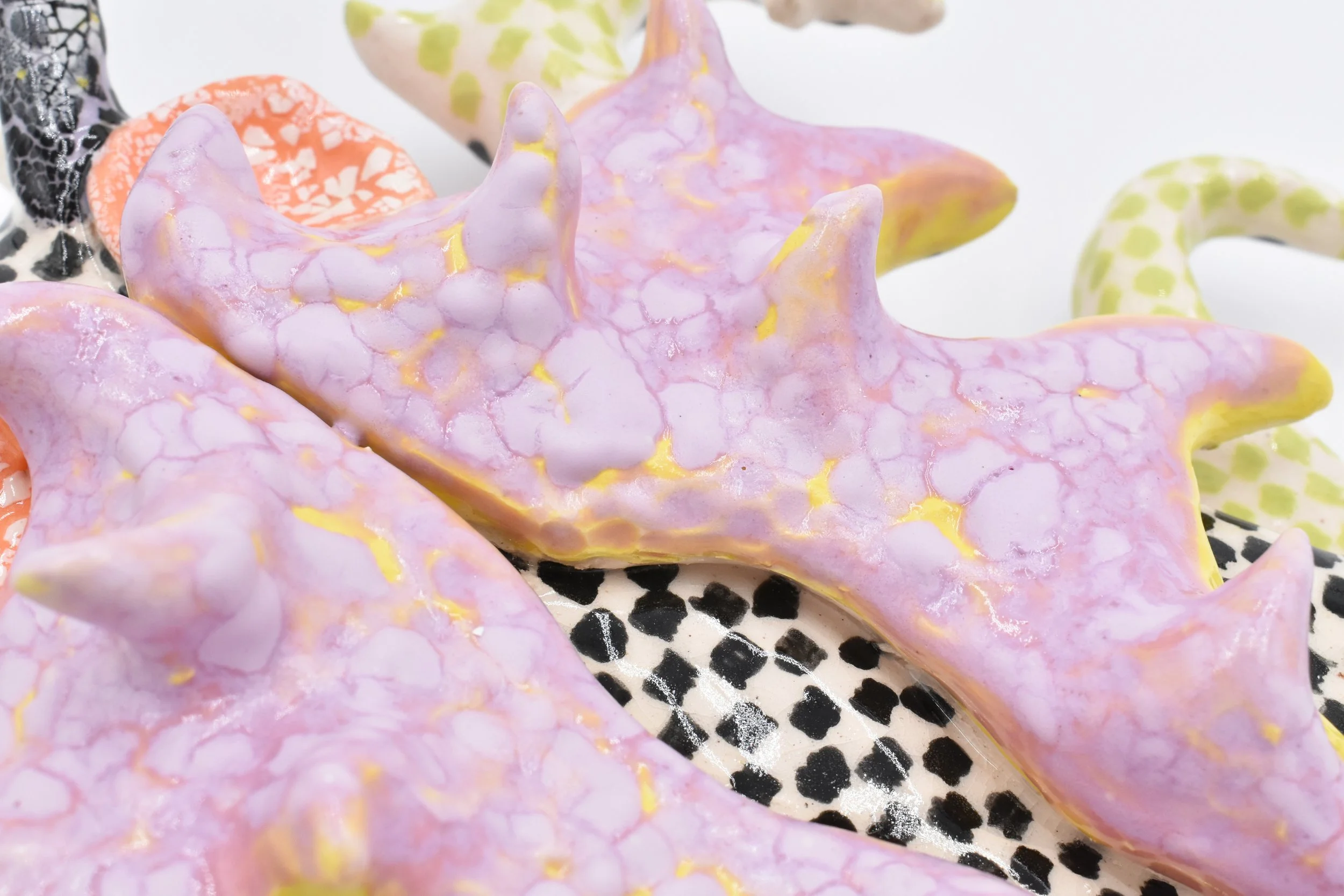 checker bug detail 1.jpg