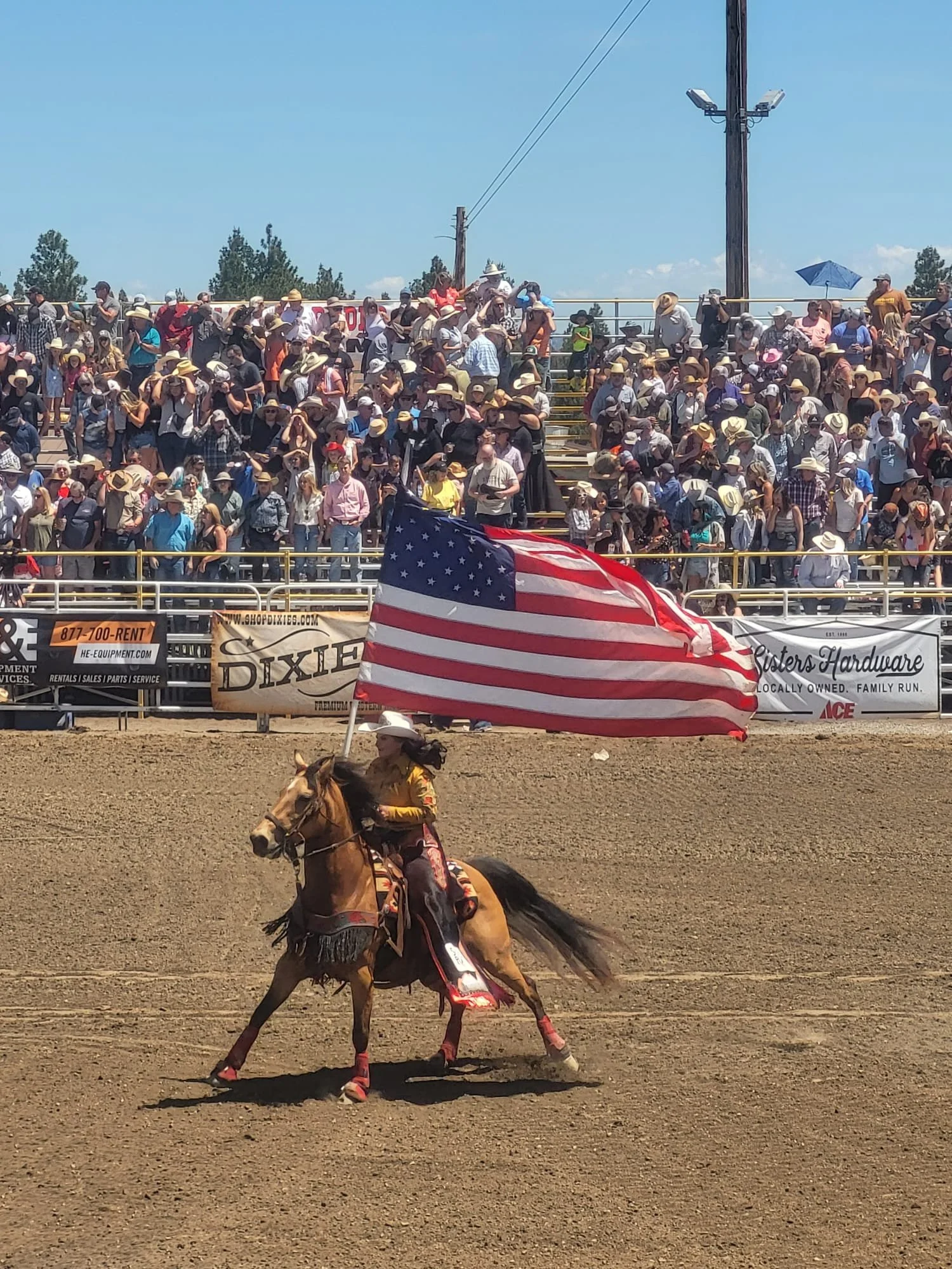 Woman on horse with American Flag