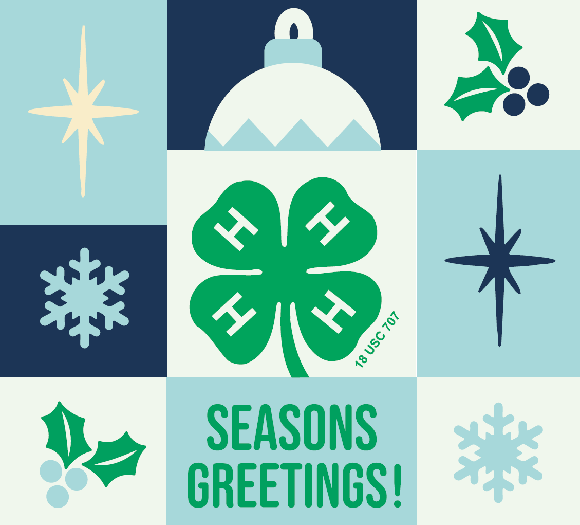 Happy Holidays: A Year in Review