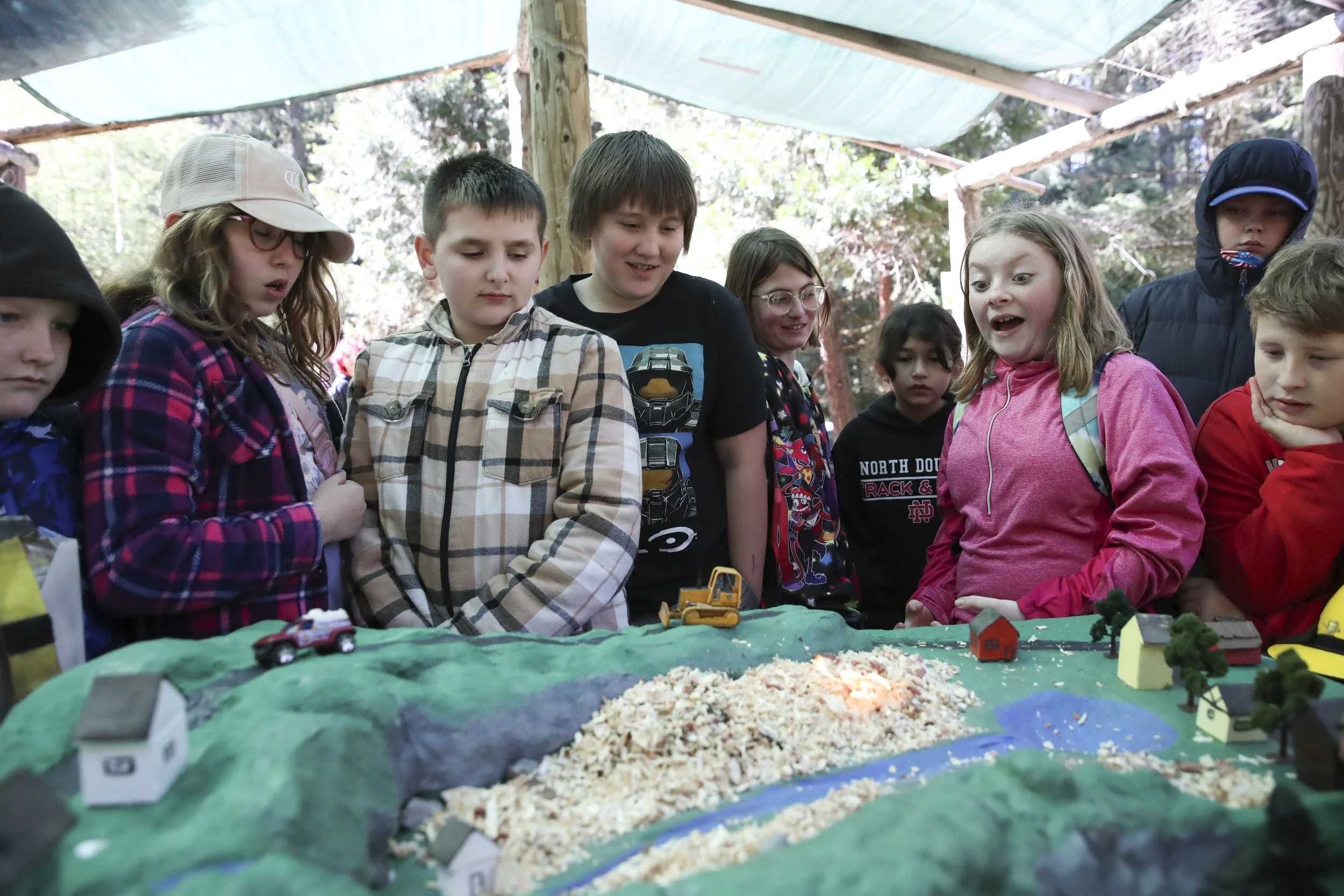 Kids enjoying Forestry Day