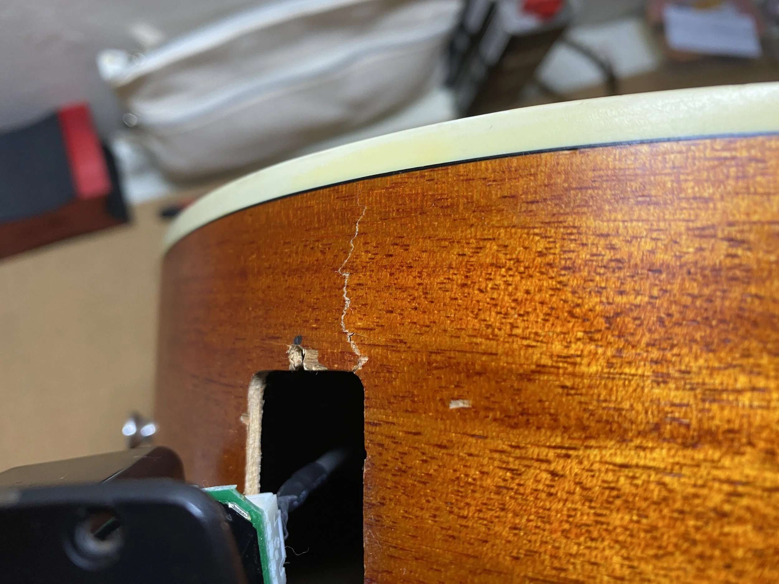 Tanglewood Acoustic Repair.JPG