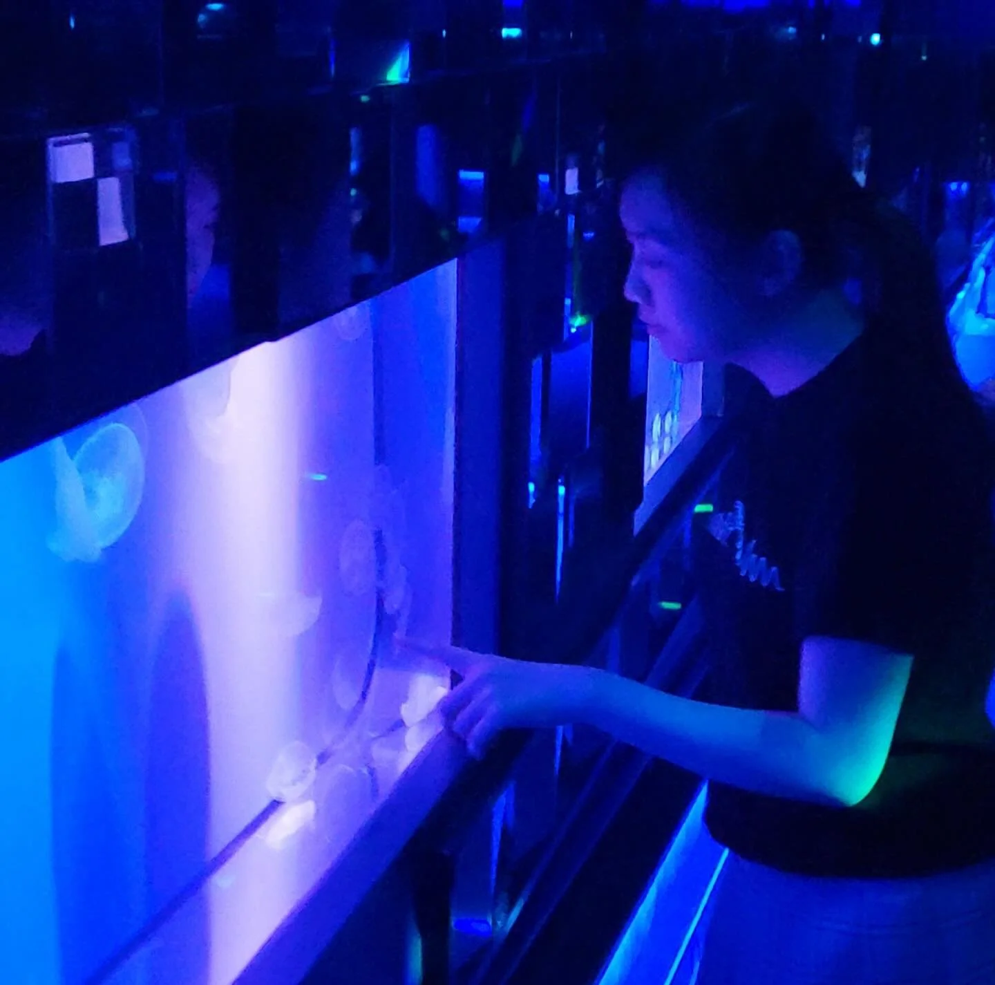 This room with the fish looks simple at first but was actually a lot of fun chasing and creating fish! I feel like I haven't played with water like this since I was a kid.

I was able to discover the secret room :3
.
.
.
#stardrop #band #anime #jrock