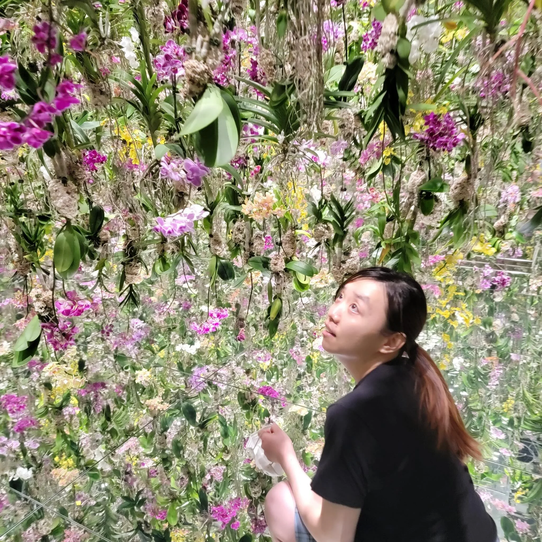 The orchid room is a pretty calming experience compared to some of the other exhibits. But being completely surrounded by orchids visually and through it's scent is a pretty amazing feeling.

Overall I highly recommended coming here if you are in Tok
