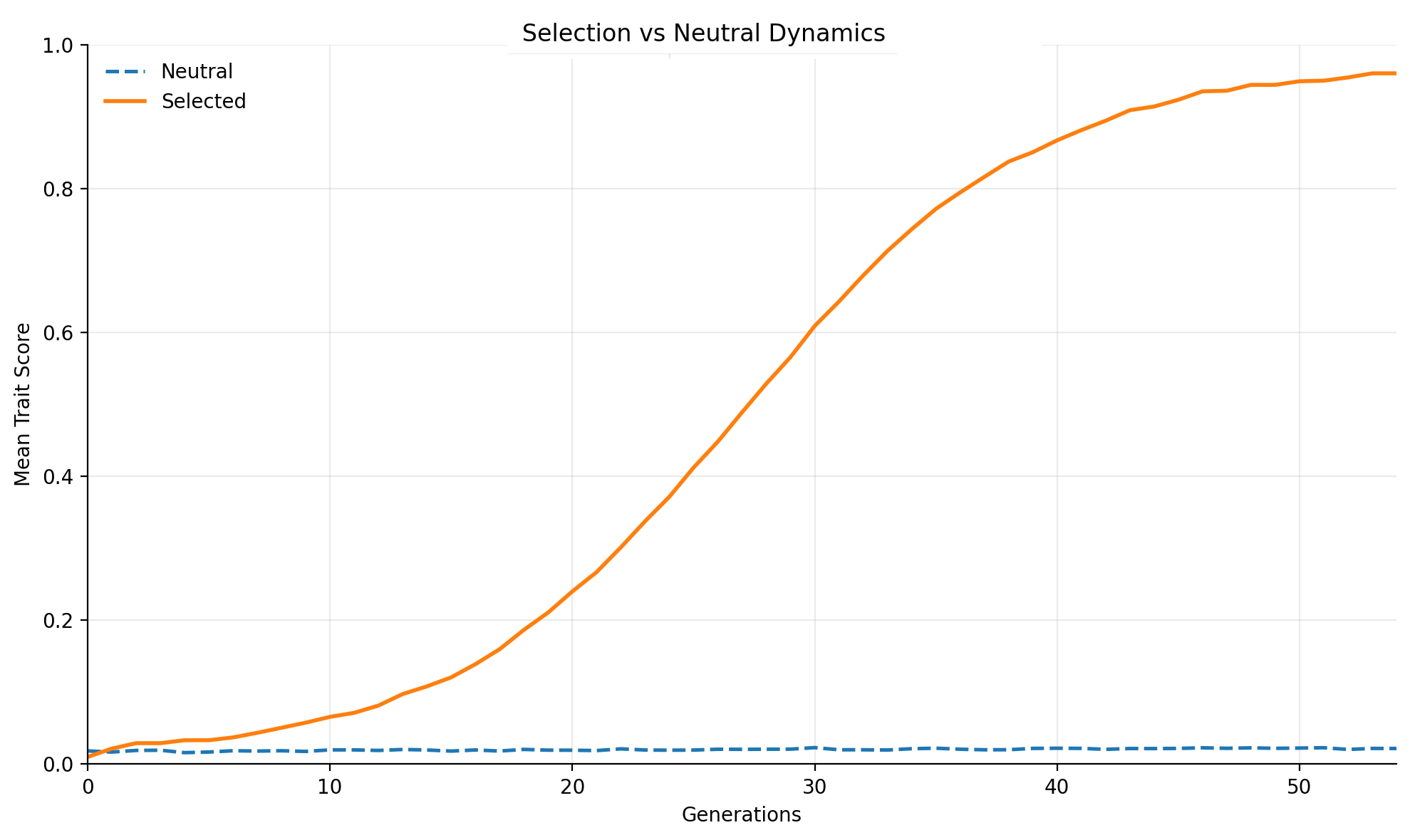 Line graph titled 'Selection vs Neutral Dynamics' showing two lines, 'Neutral' in dashed blue and 'Selected' in solid orange, over 50 generations with the y-axis labeled 'Mean Trait Score', illustrating the change in trait scores between neutral and selected groups.