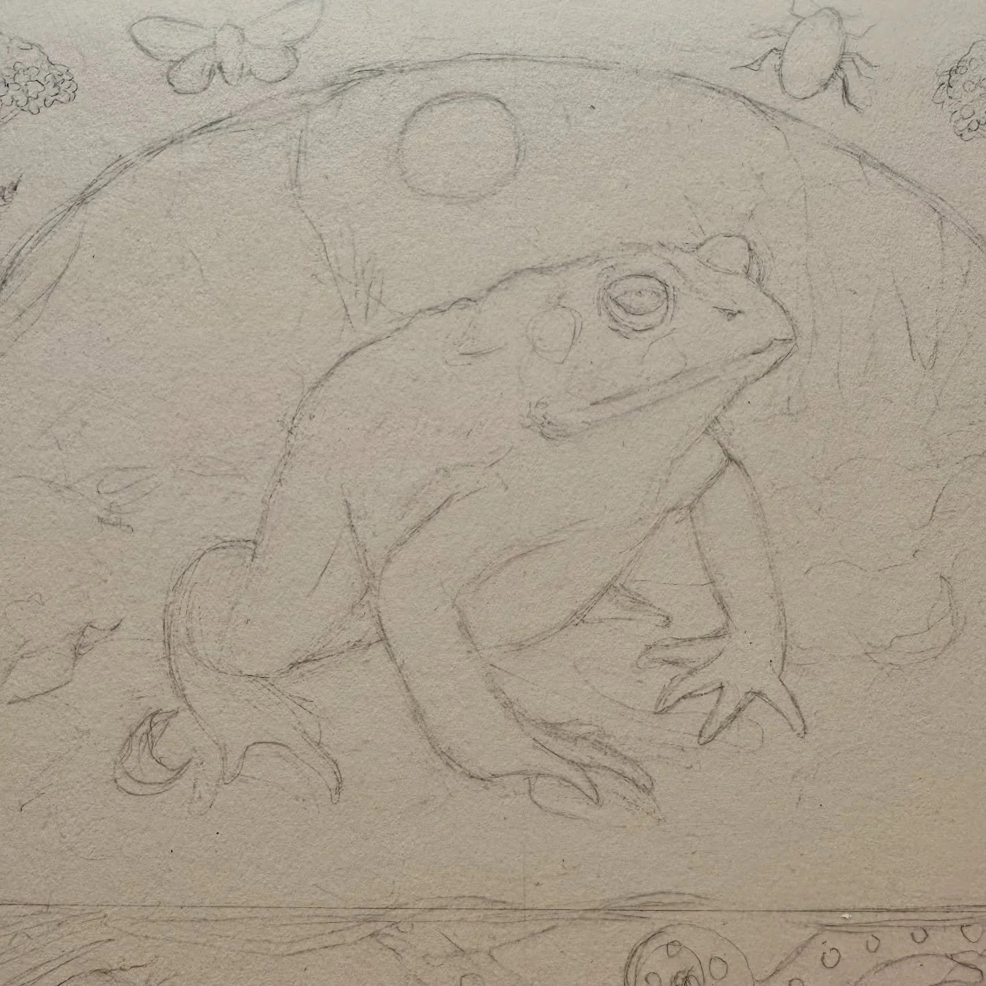I haven’t done much work in my studio the past couple months. I’ve got some exciting murals coming up soon but otherwise I have felt a little distanced and tapped out of my own art process. Trying to break the rut with this American Toad!