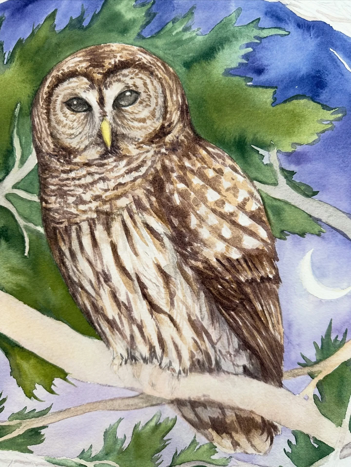 Something I&rsquo;m working on 🦉
.
#barredowl #workinprogress