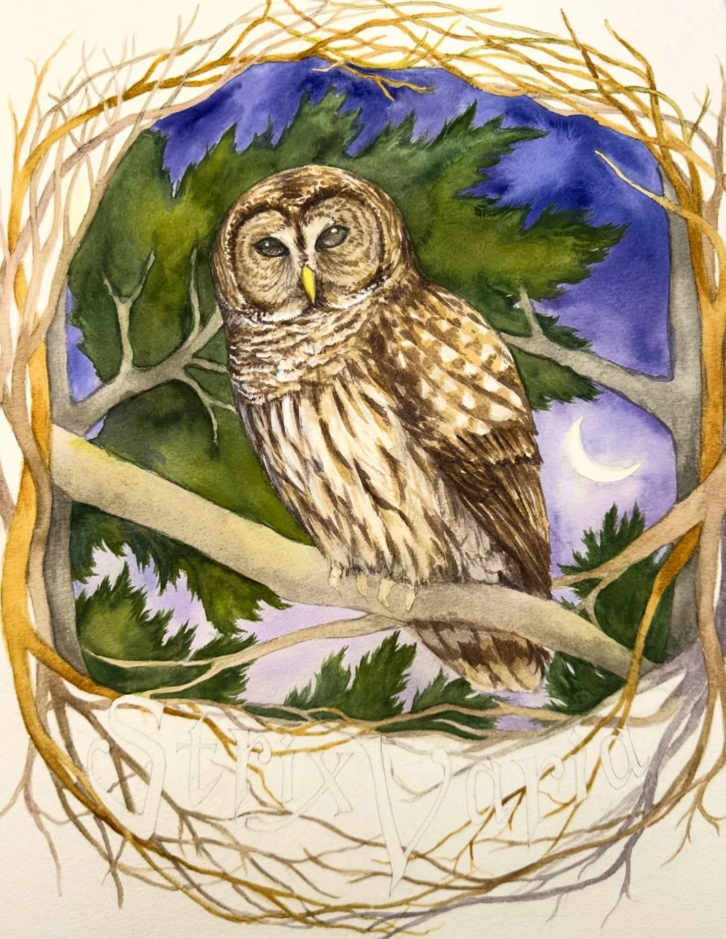 I do not have a plan on how to finish this 🫣
Usually I try to do some color studies beforehand or have a strong idea in mind when I start a painting, but not this time! 
.
#watercolor #workinprogress #birdart #barredowl