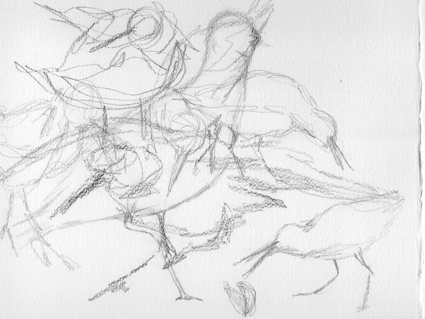 The chaos of striking a pose and building muscle memory for the Oystercatcher