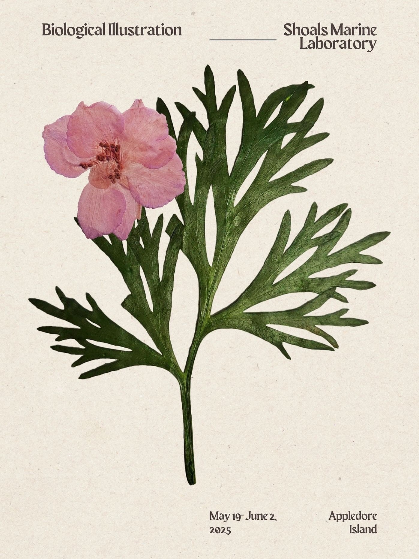 Digital program for Biological Illustration 2025 gallery night