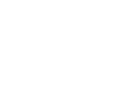 denver logo.png