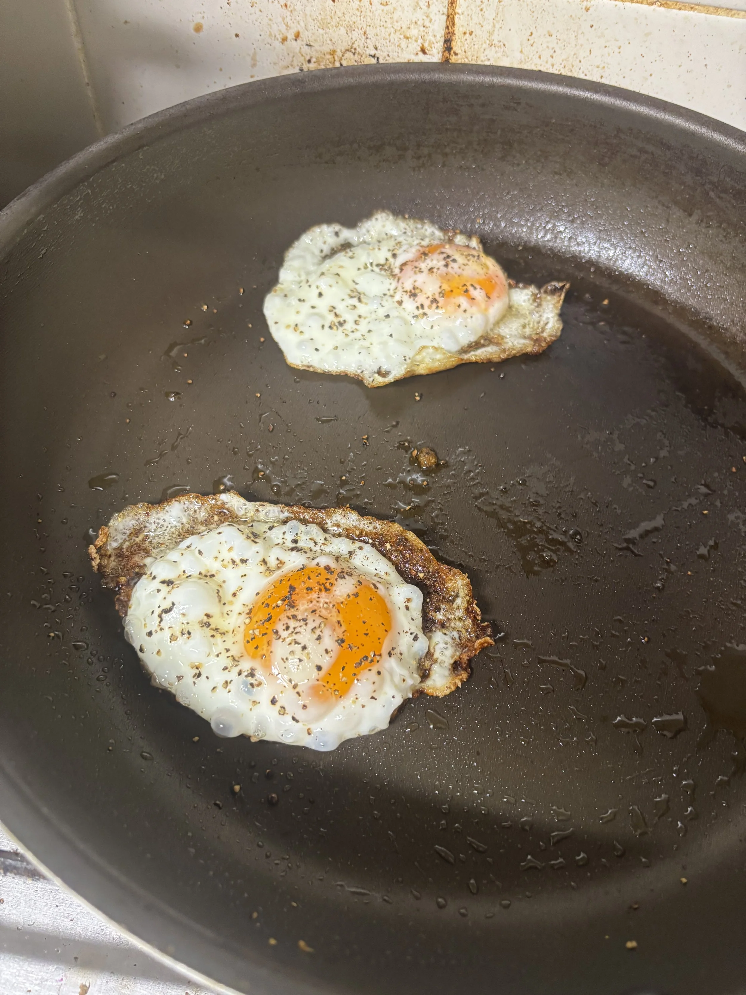 Spiritual Beings in Animal Bodies