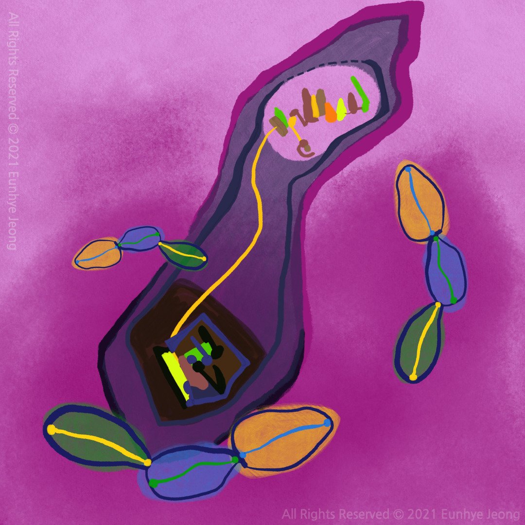 <5 Bojagi> 01 - Taste of Love