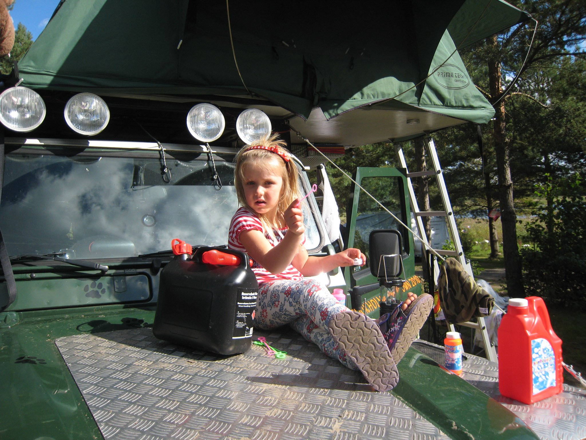 Svanar och getter - by Frida &amp; Moa