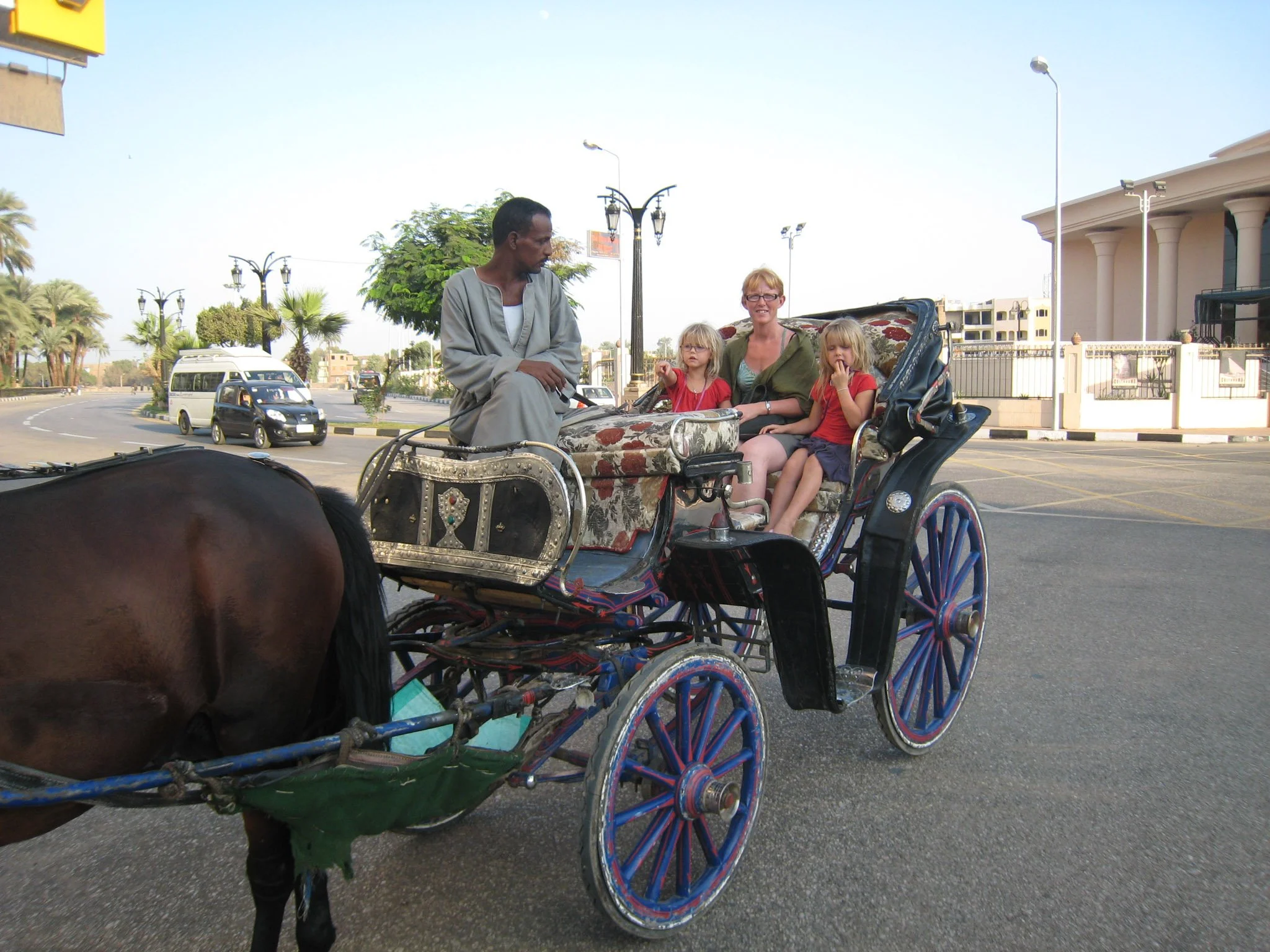 Åsnor och kossor - by Frida &amp; Moa