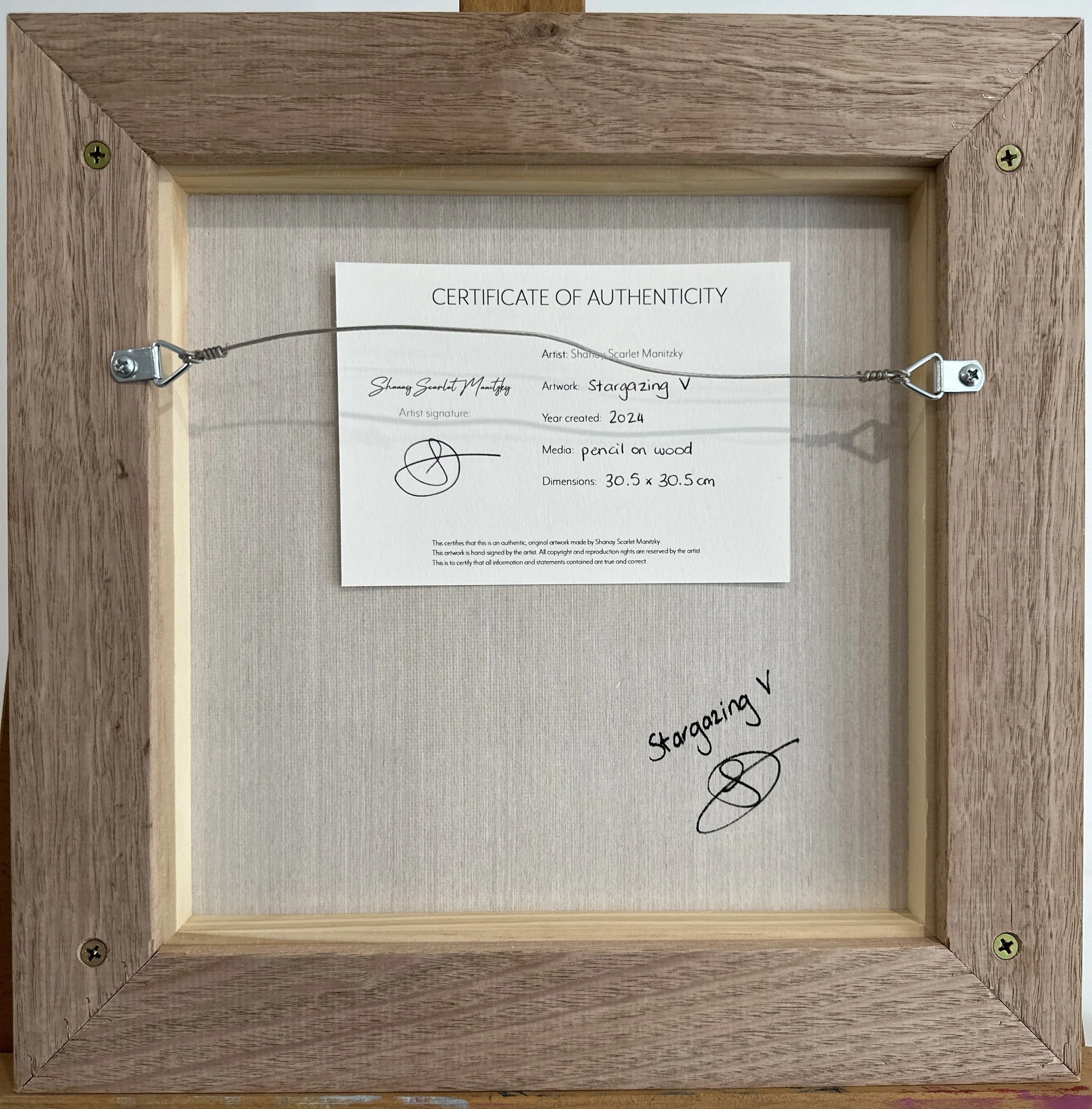 Stargazing V back.JPG