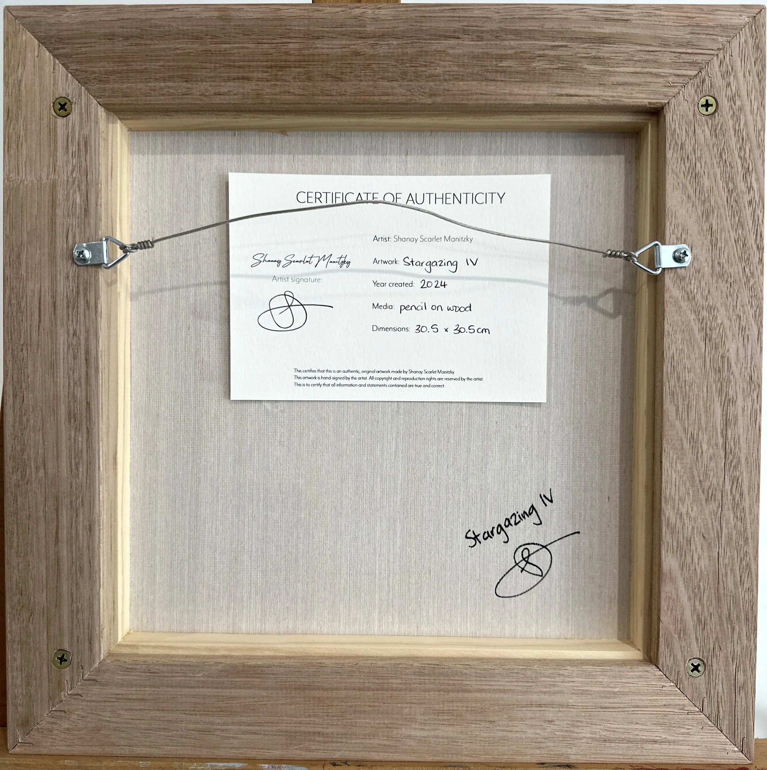 Stargazing IV back.JPG