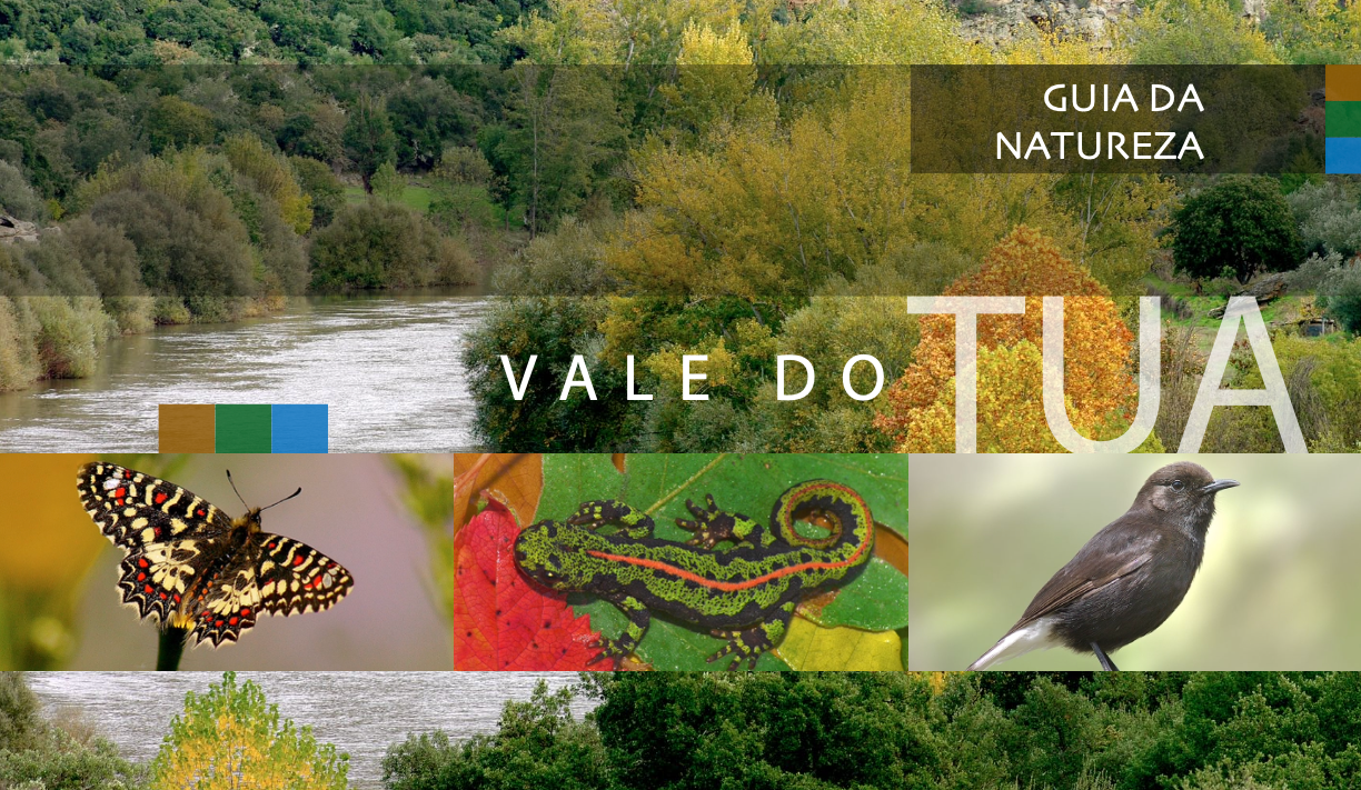 Imagem de uma capa de guia da natureza mostrando uma paisagem com rio e árvores de diferentes cores de folhagem, incluindo uma borboleta, um lagarto, um pássaro e uma folhagem vibrante. Textos na imagem indicam que é um guia sobre o Vale do Tua.
