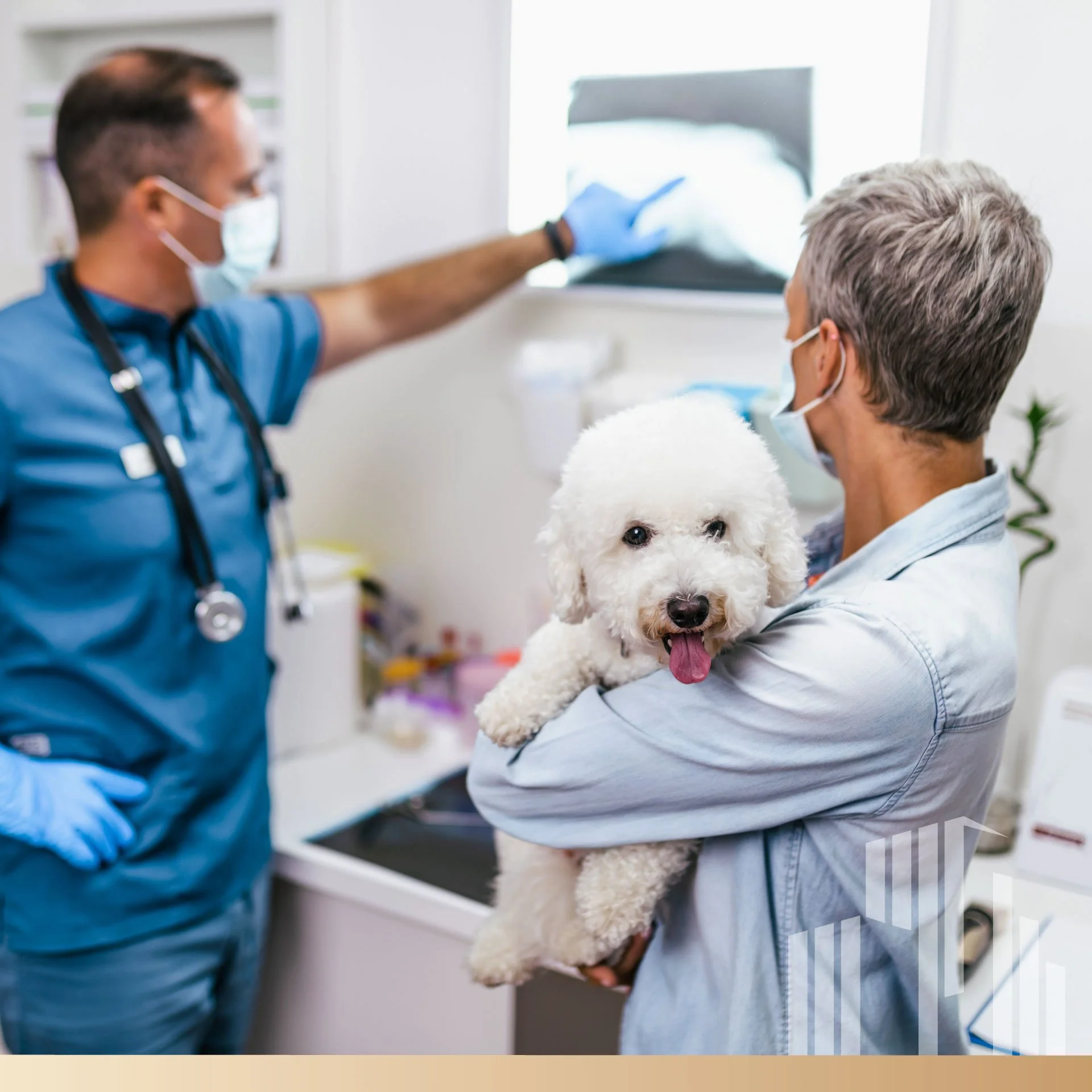 Veterinary Real Estate Options Colorado
