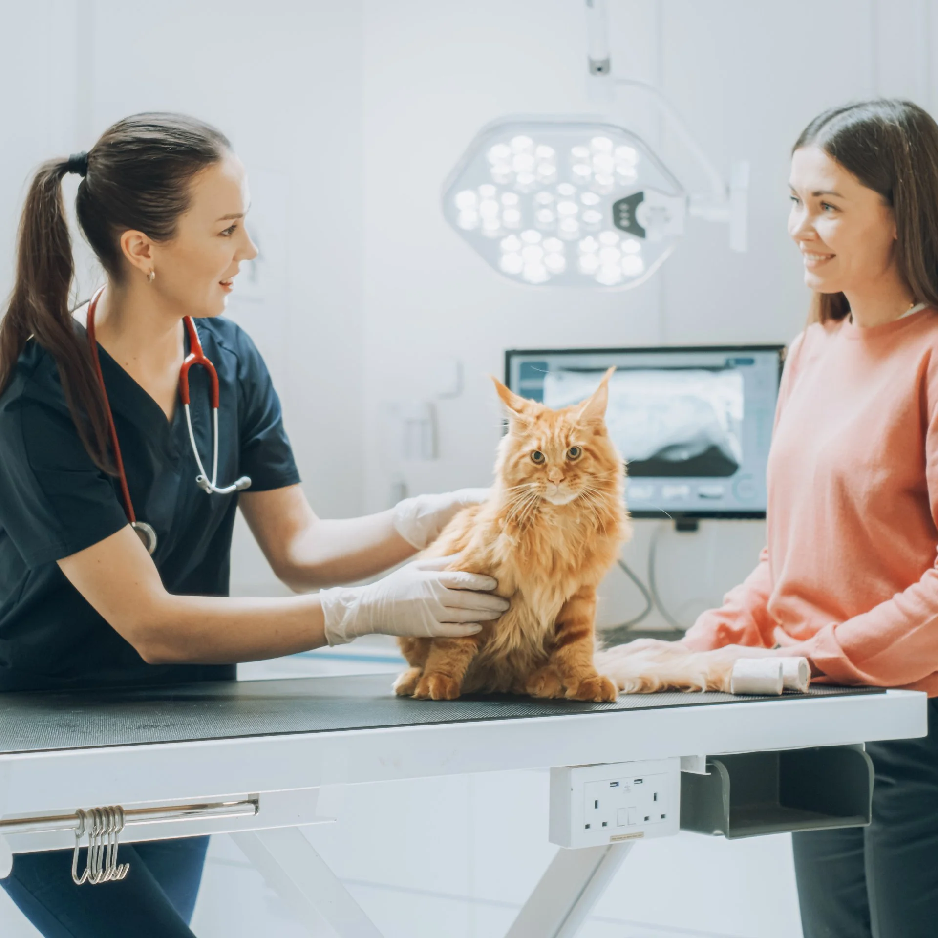 Veterinary Real Estate in Colorado