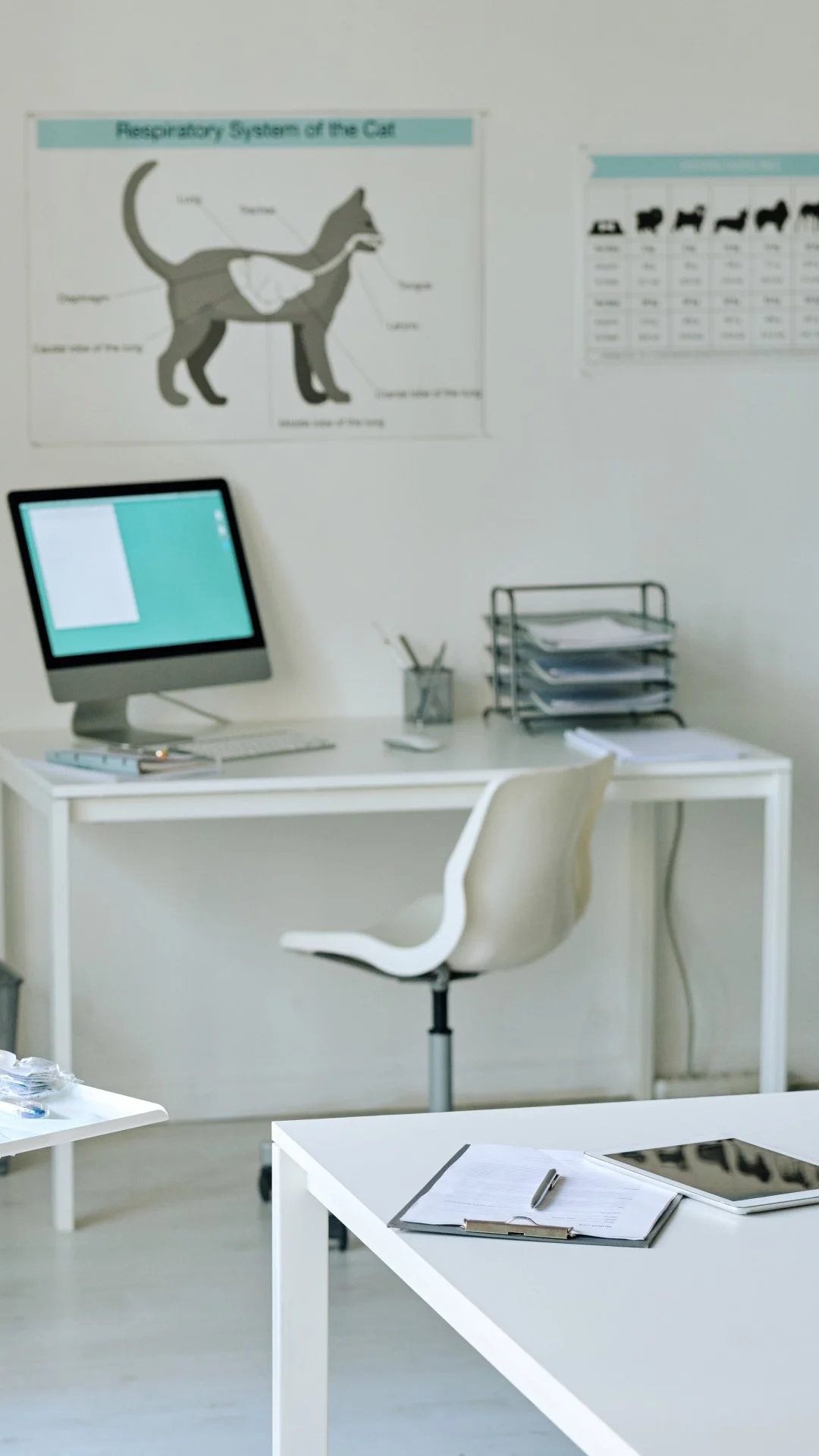 Veterinary-Real-Estate-Office-in-Colorado