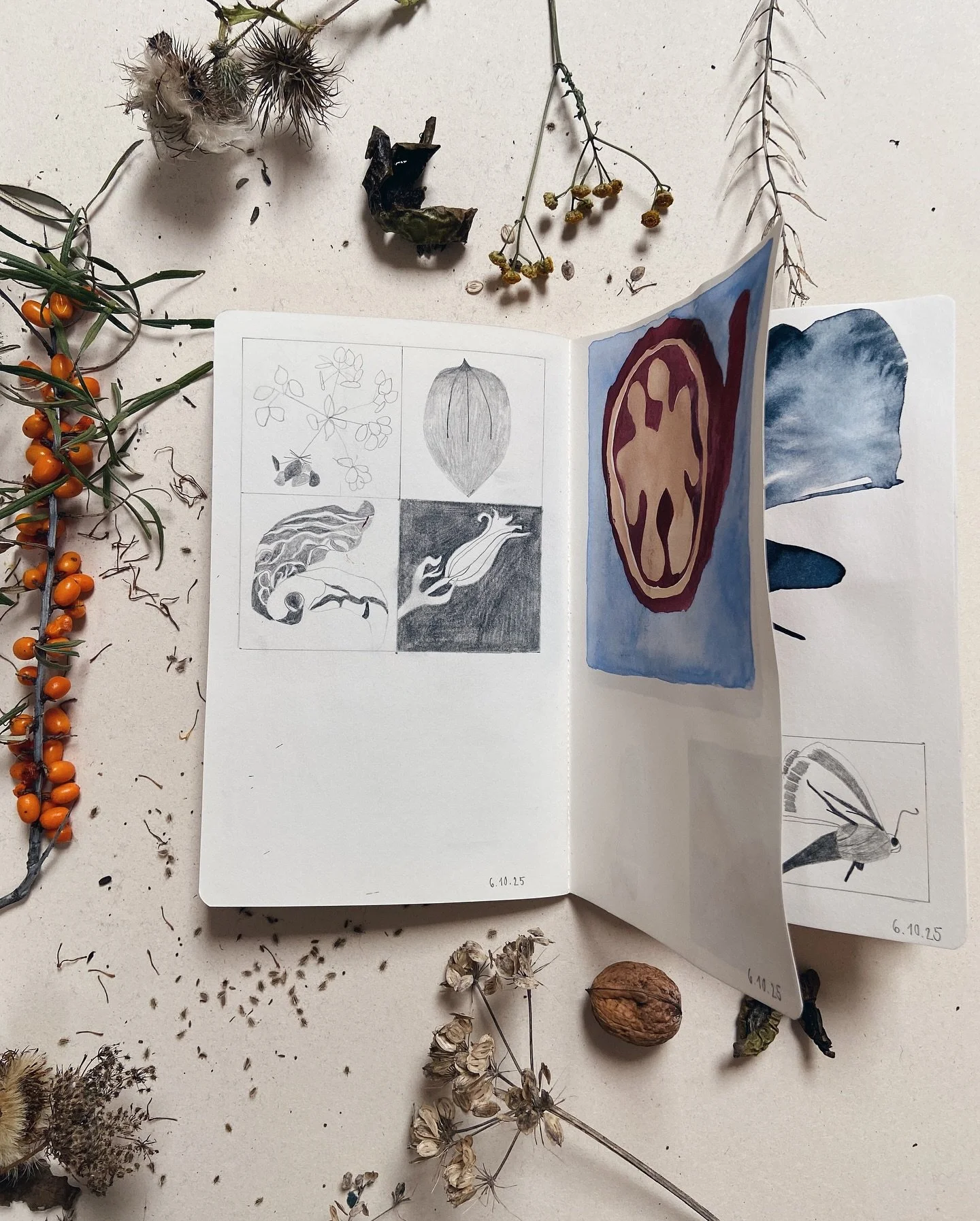 Autumn is around 🍁 and it&rsquo;s the perfect time to have a look at all the changes nature is showing and to gather with a tea for some hours of drawing and painting 😊
Next possible NATURREICHE dates are

Fri 31.10. Findlinge 6-9pm
Sun 2.11. Wildl