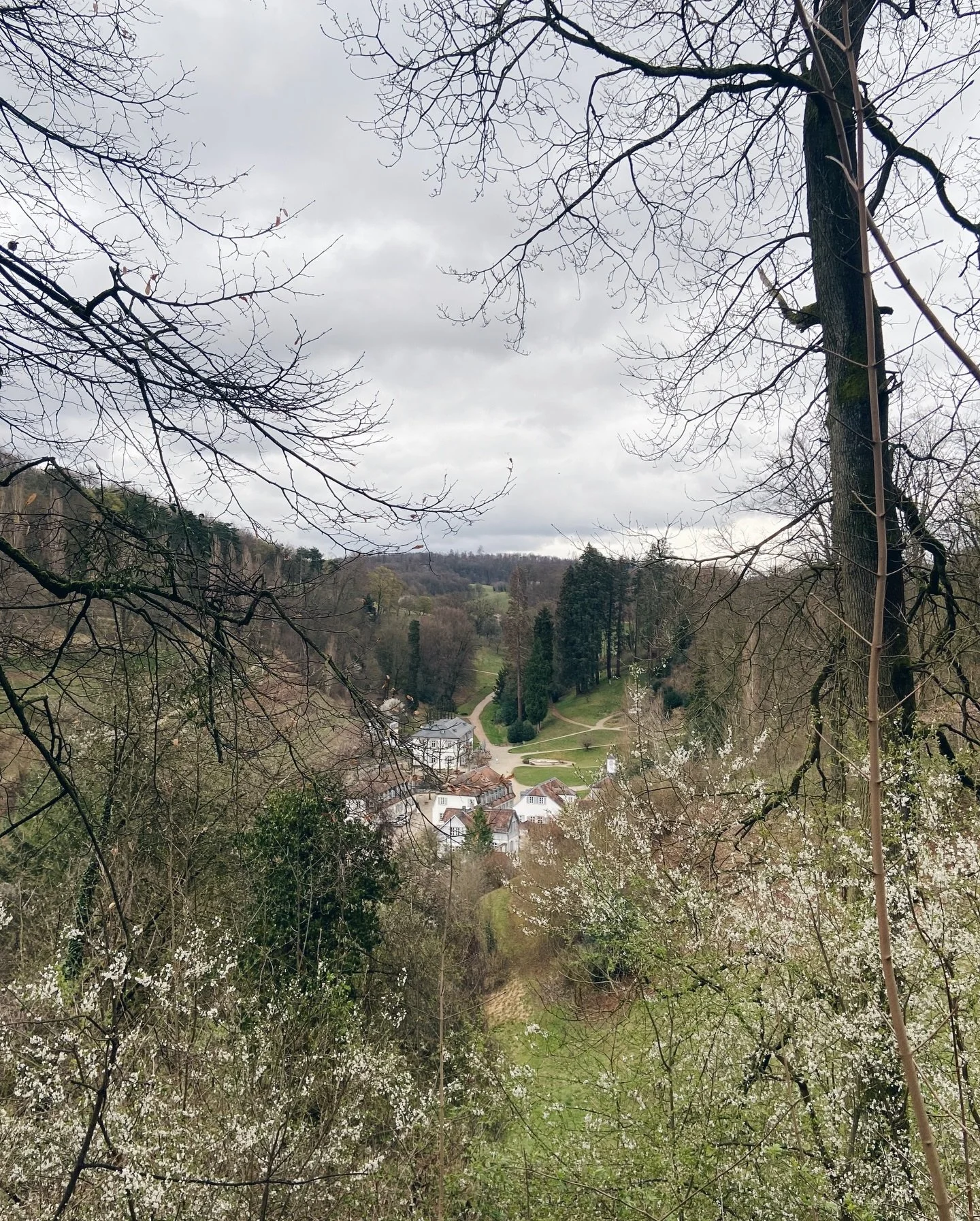 Planning something for September at this beautiful place #fuerstenlager in Auerbach-Bensheim&hellip; soon more, but for now some views of the park in spring!

Happy new season 🌸

#springishere #seasonofbloom #newprojects #goingformyvision