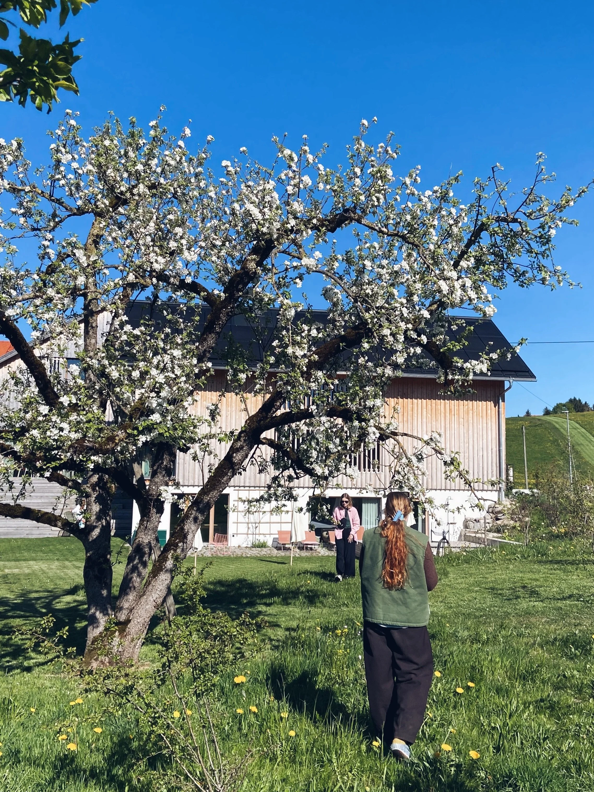 About last weekend during our retreat IN BLOOM at the most beautiful spot the Ebenrieder in the Allg&auml;u. We started Thursday afternoon with a first tuning in in nature and a drawing session, had a really artful dinner for sunset and went to see t
