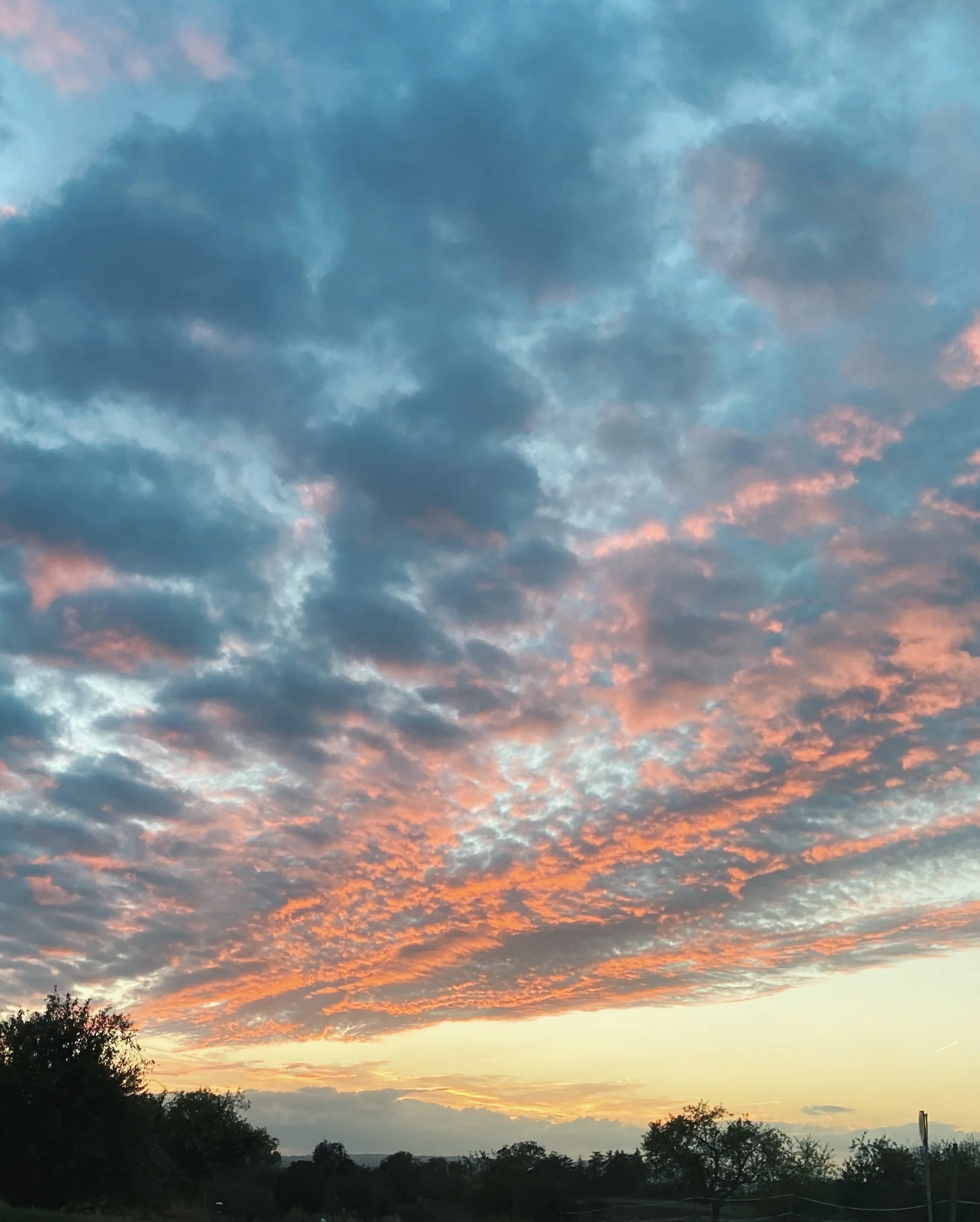 Yesterday marked the autumn equinox &mdash; day and night were almost equal in length. From now on, the days will grow shorter and the evenings longer.

And (even if I love summer ;-) there lies so much beauty in that, too: the slower pace, the softe