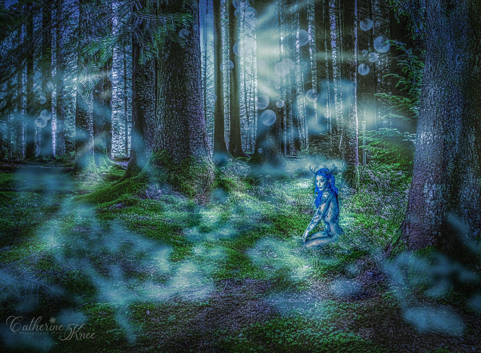 Dryad in the Moonlight.jpg