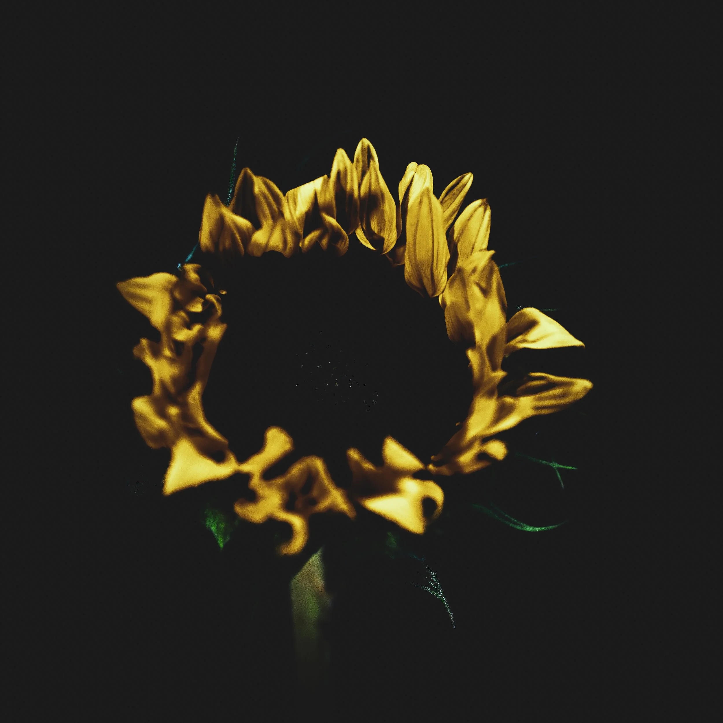Sun on Fire
